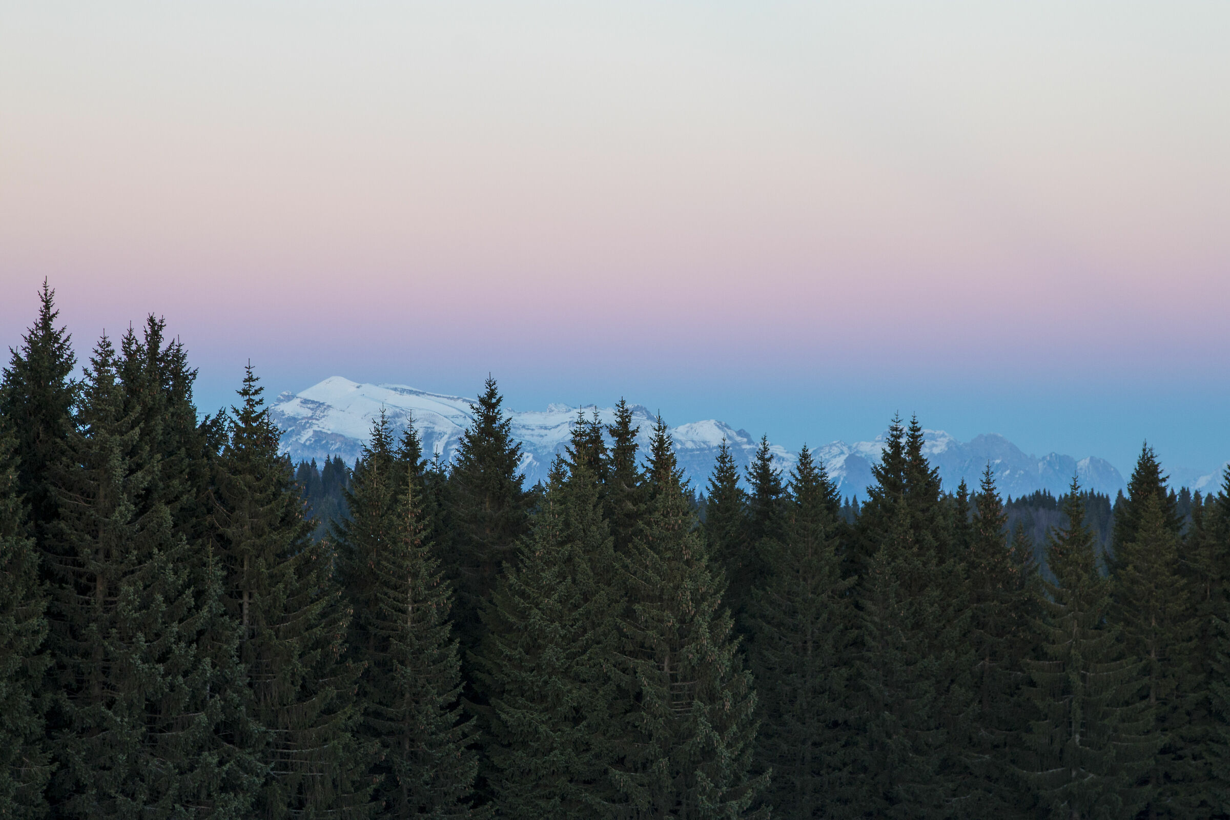 Untitled Photo