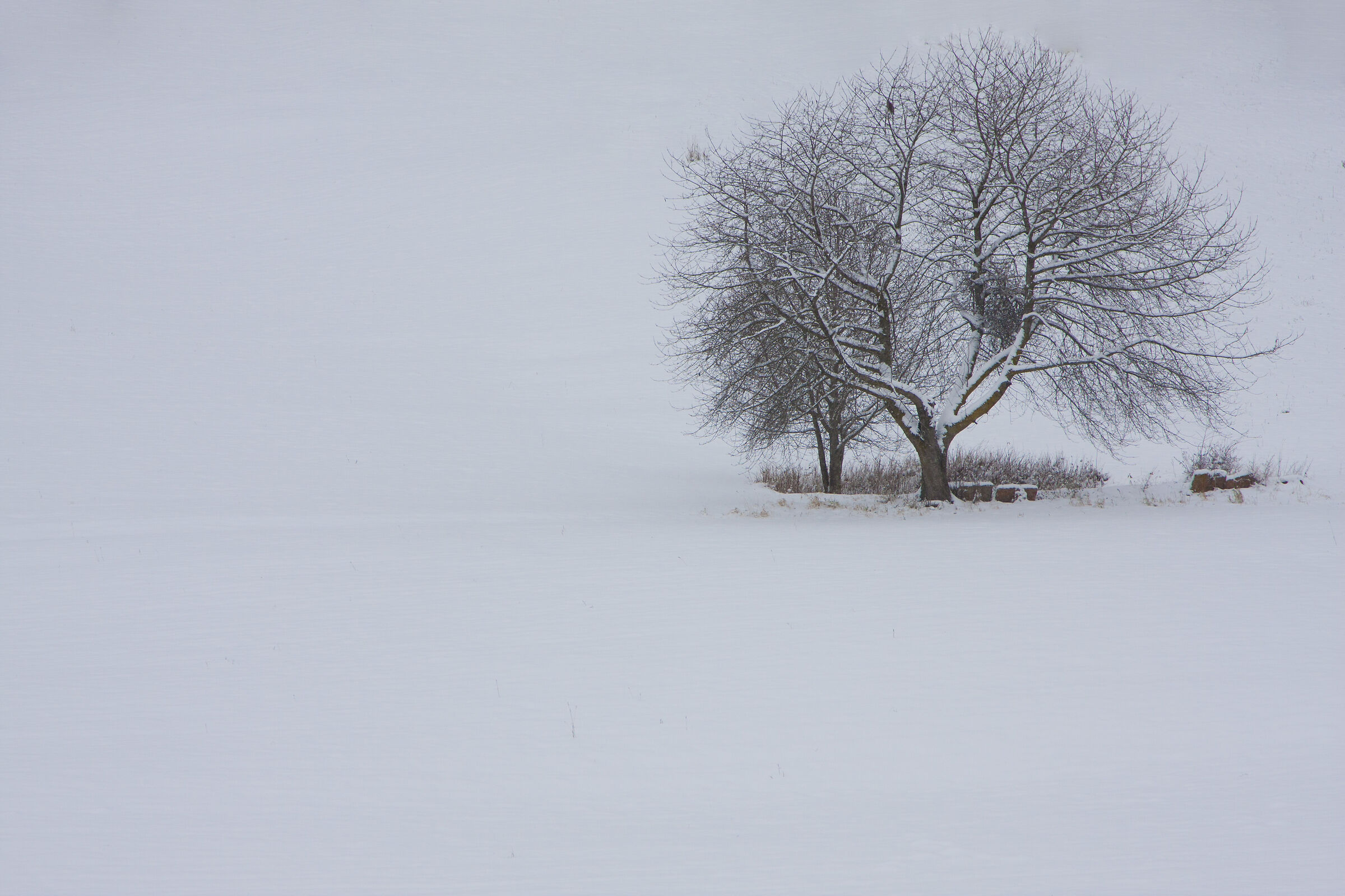 Untitled Photo
