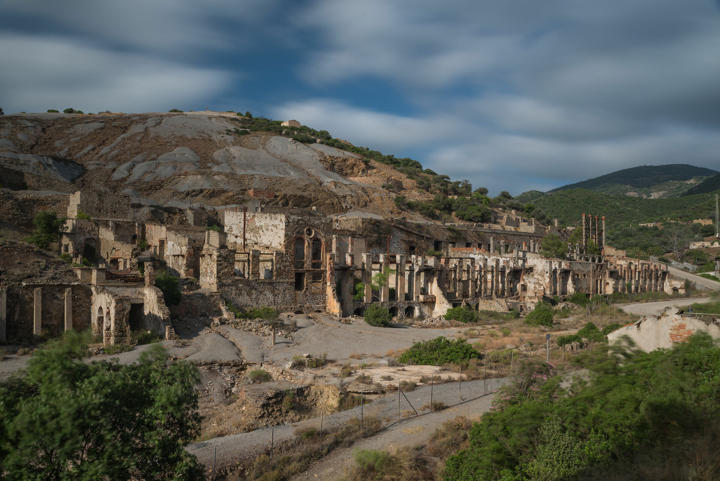 Laveria Brassey - Naracauli