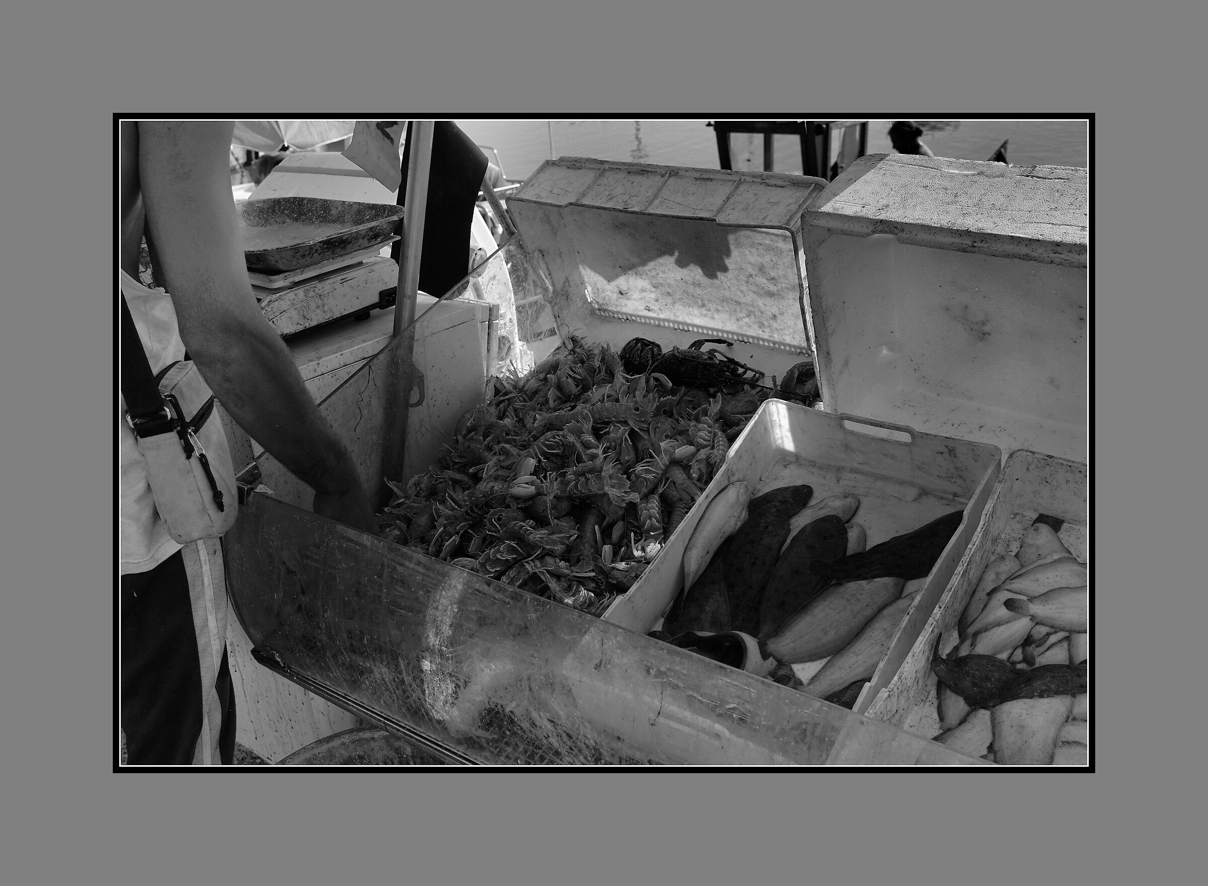 Per la gioia degli occhi e ddel palato !