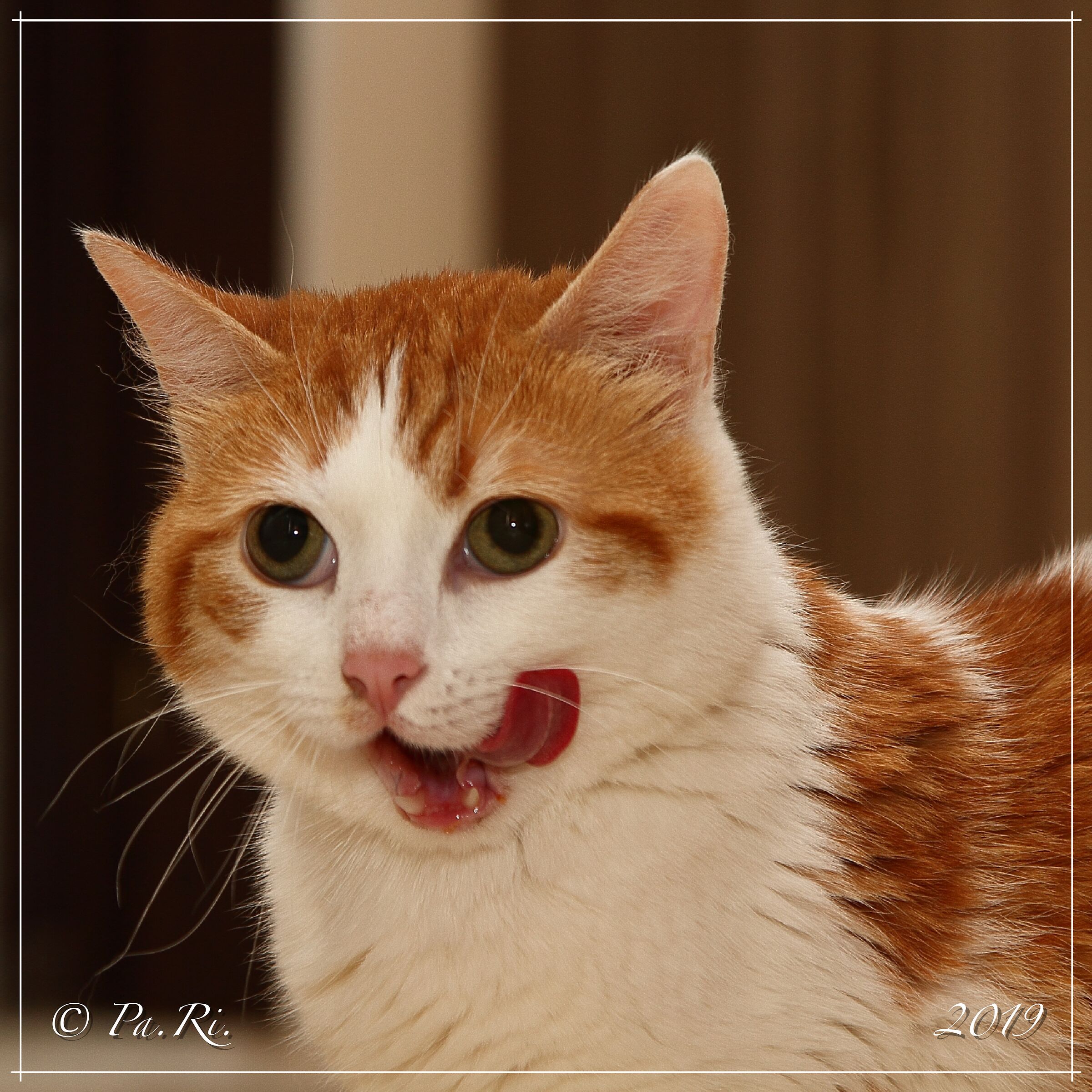 Da leccarsi i baffi.