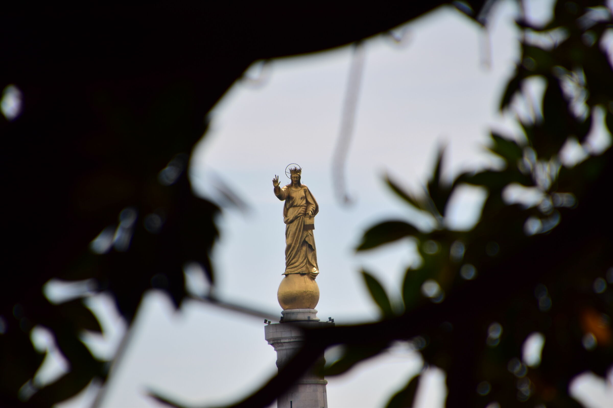 Madonnina del porto
