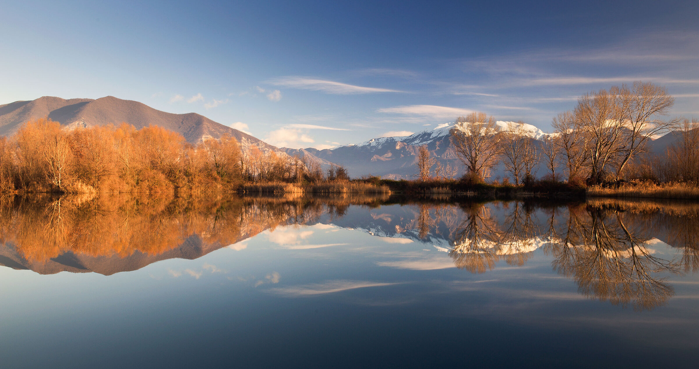 William from Peatbogs, Provaglio D' Iseo, Bs