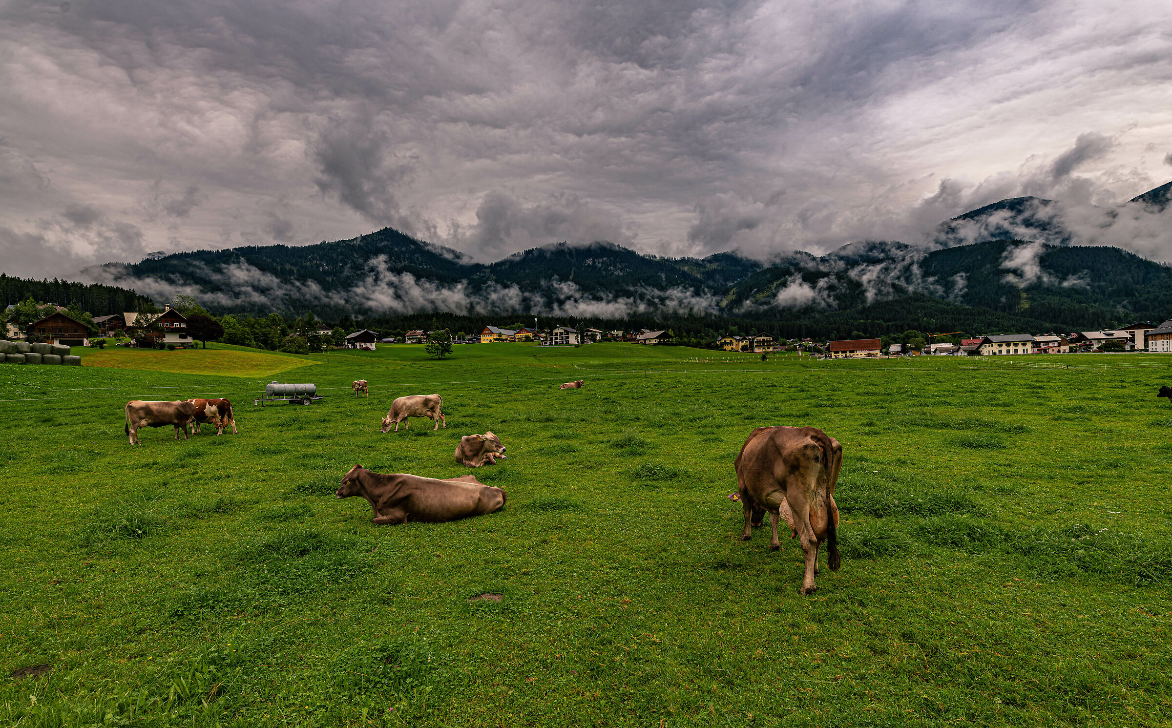 Mountain nature in all its beauty
