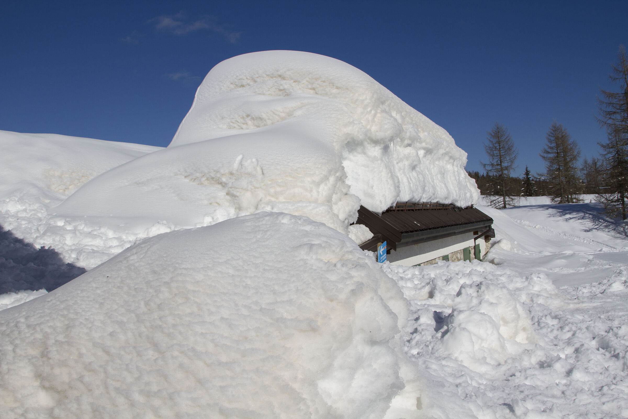 The Malga Moline Hut