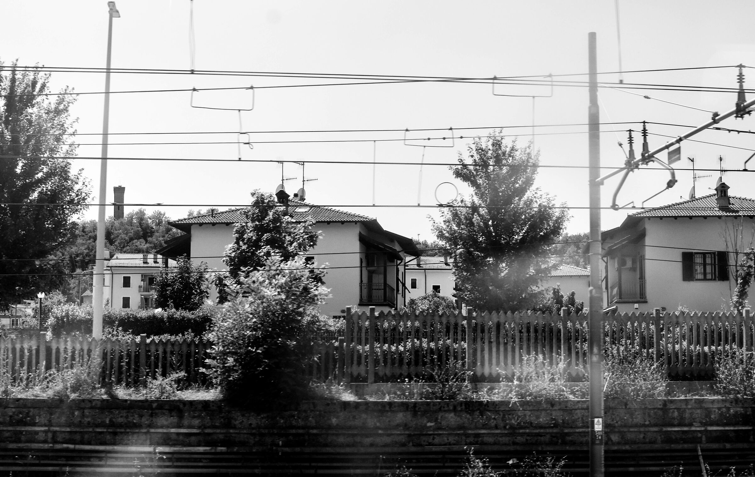 Watching the world on a train