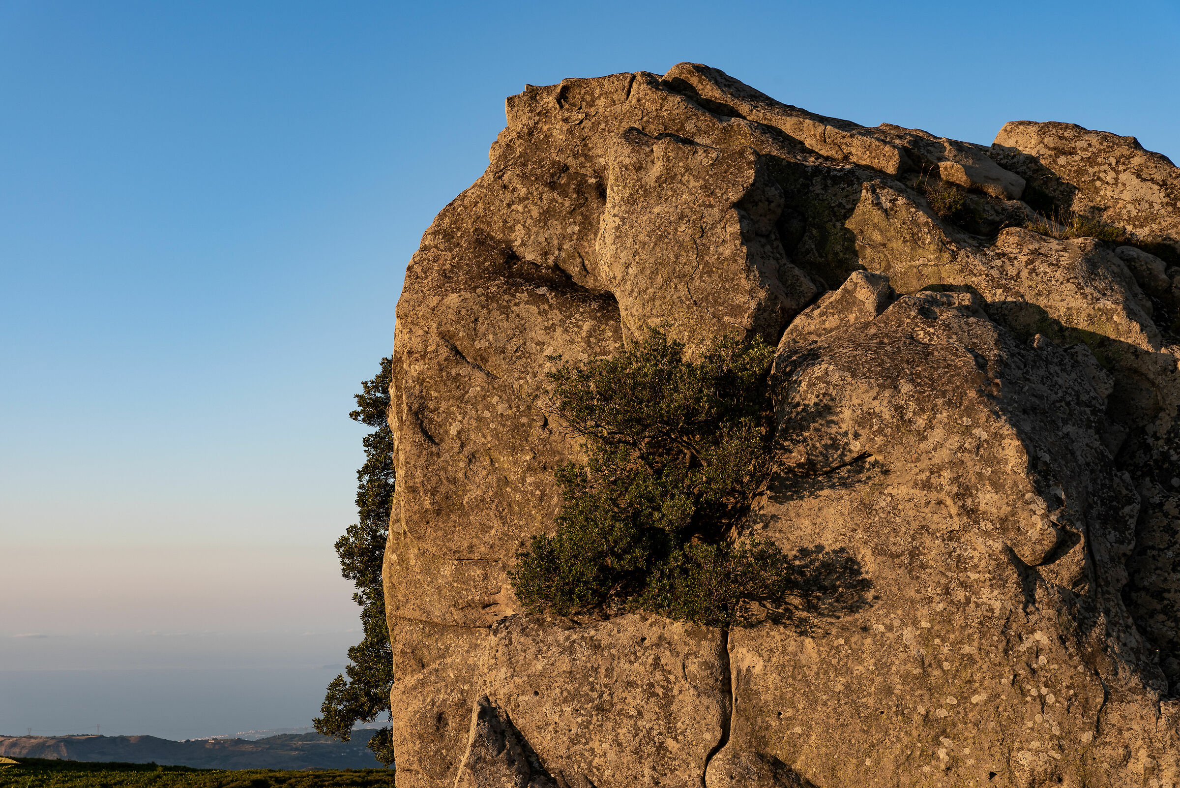 Reflections on Ofiuco