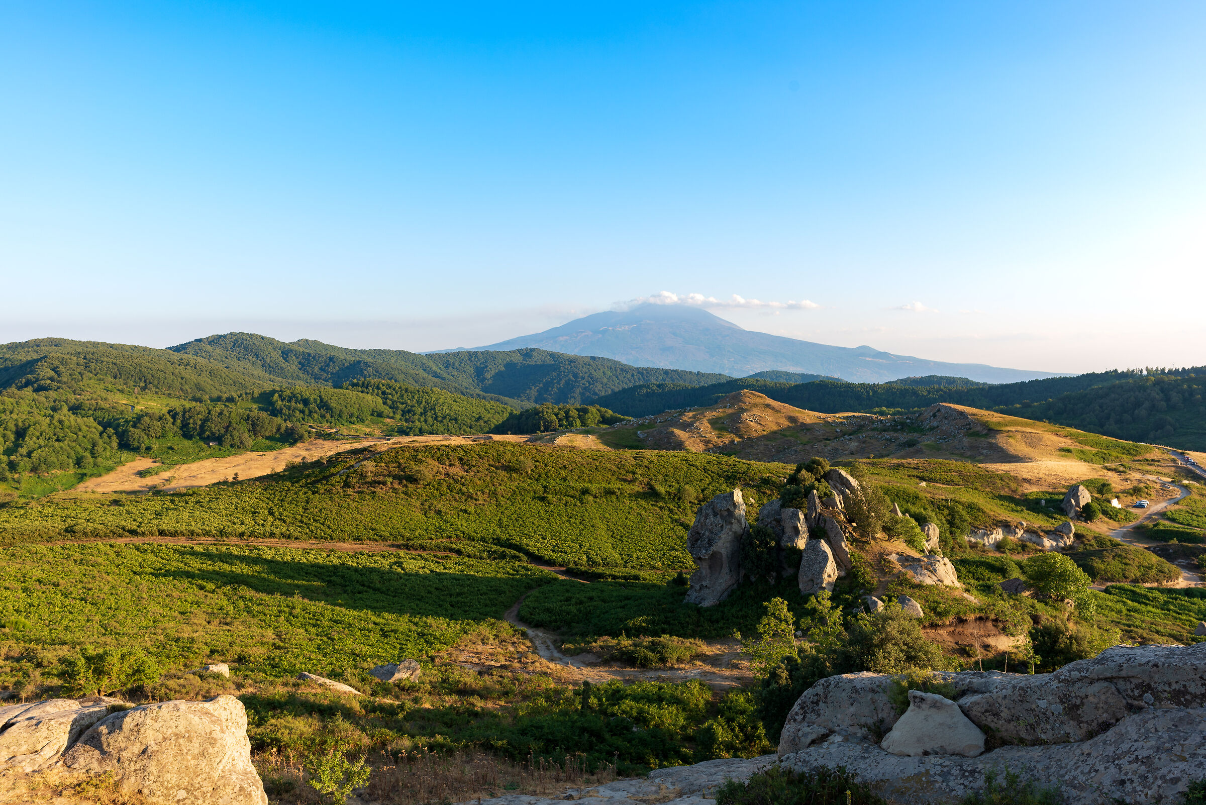 A new side of the good giant