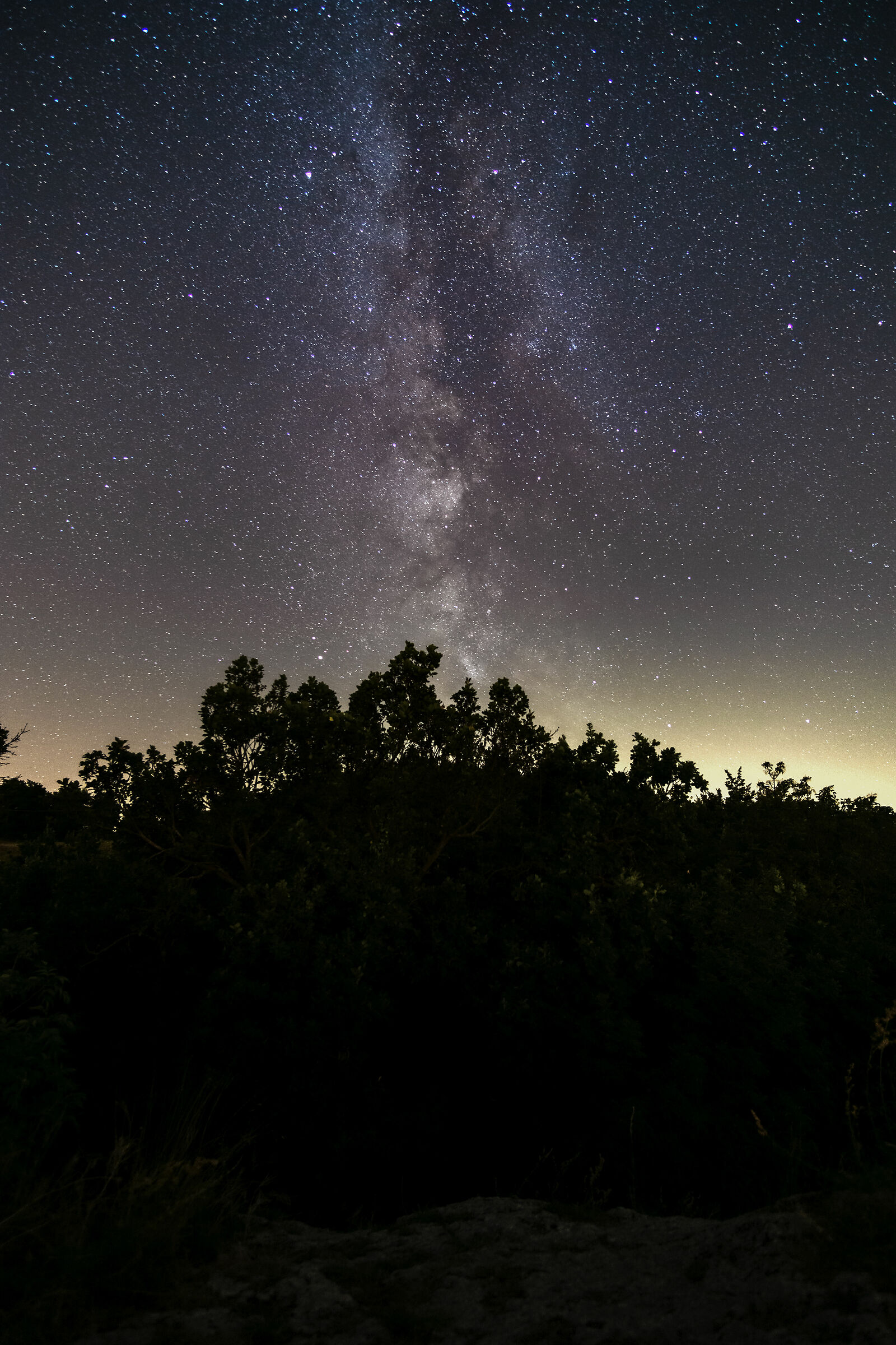 MilkyWay in quel di Brisighella!