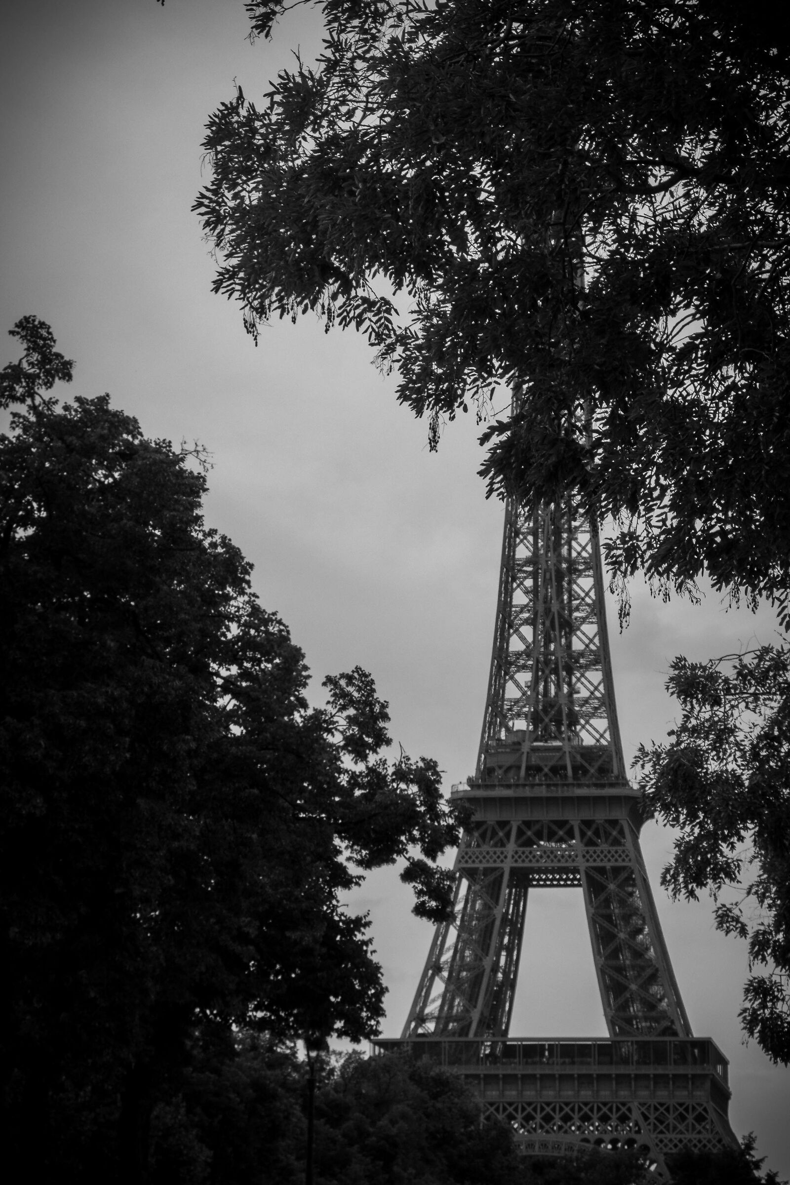The Eiffel Tower
