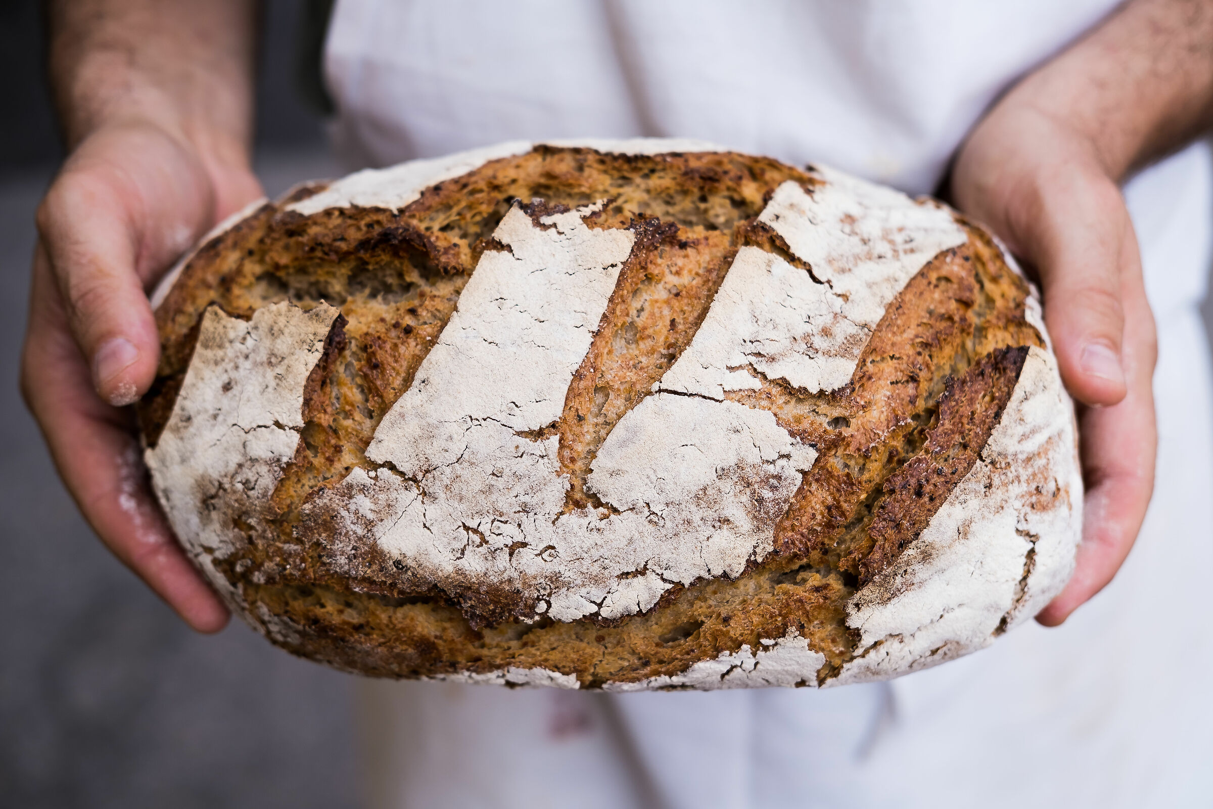 In the name of bread. Bakery Cappelletti and Bongiovanni.