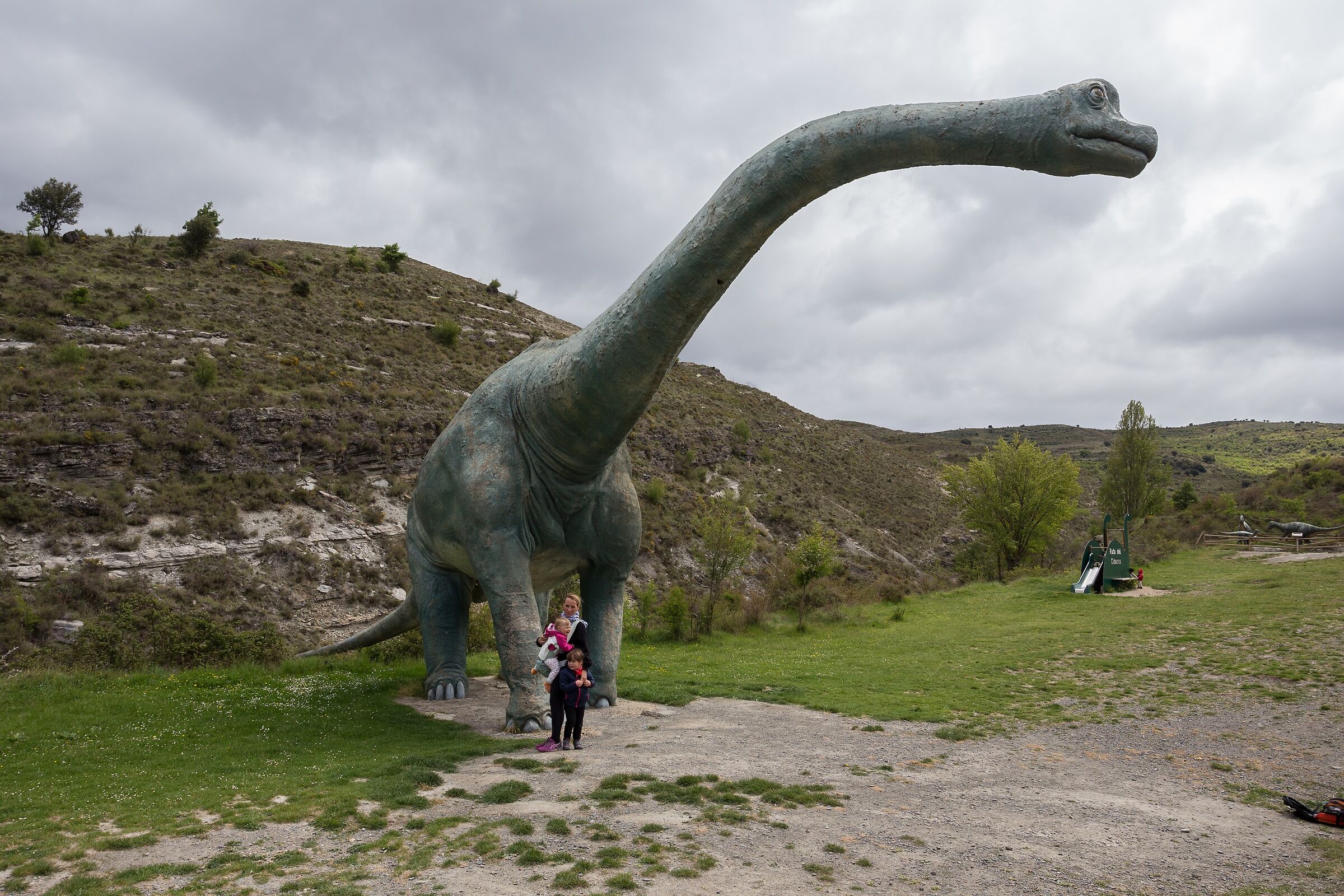 The Dinosaurs of Enciso