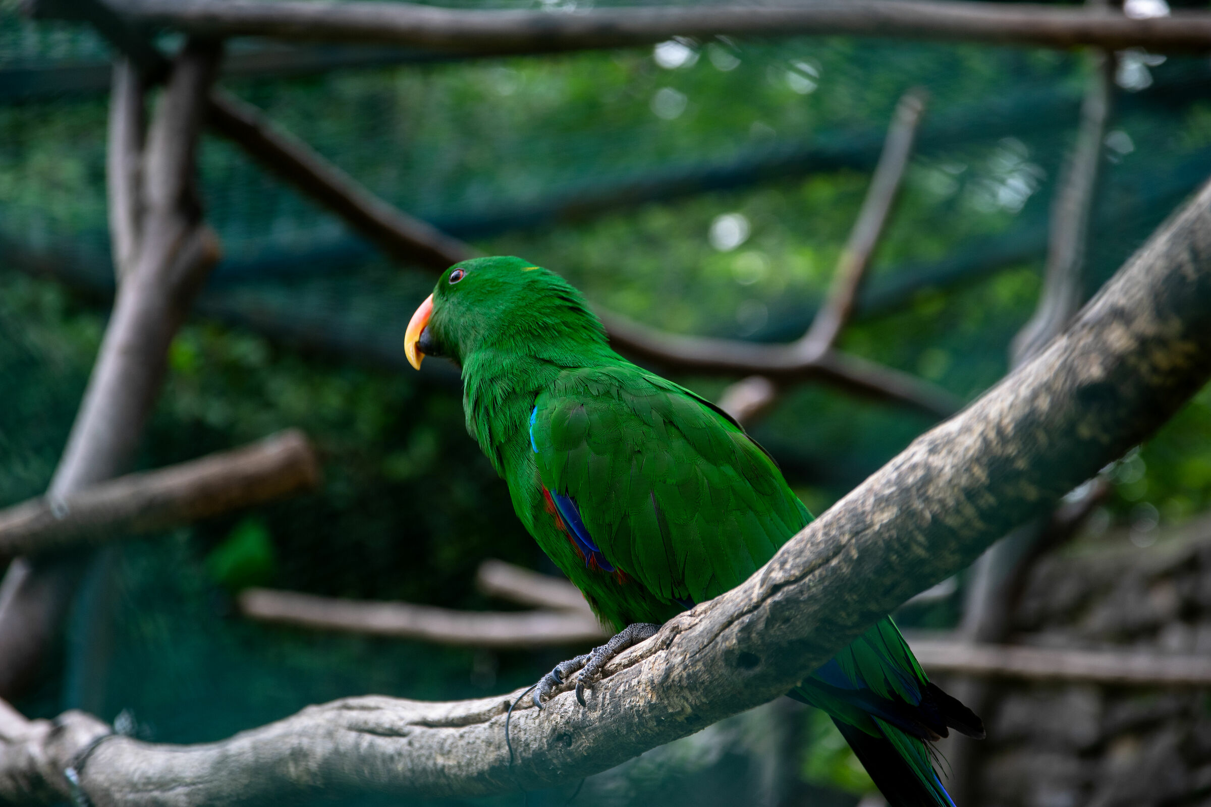 Di tutto un po'... Ecletto