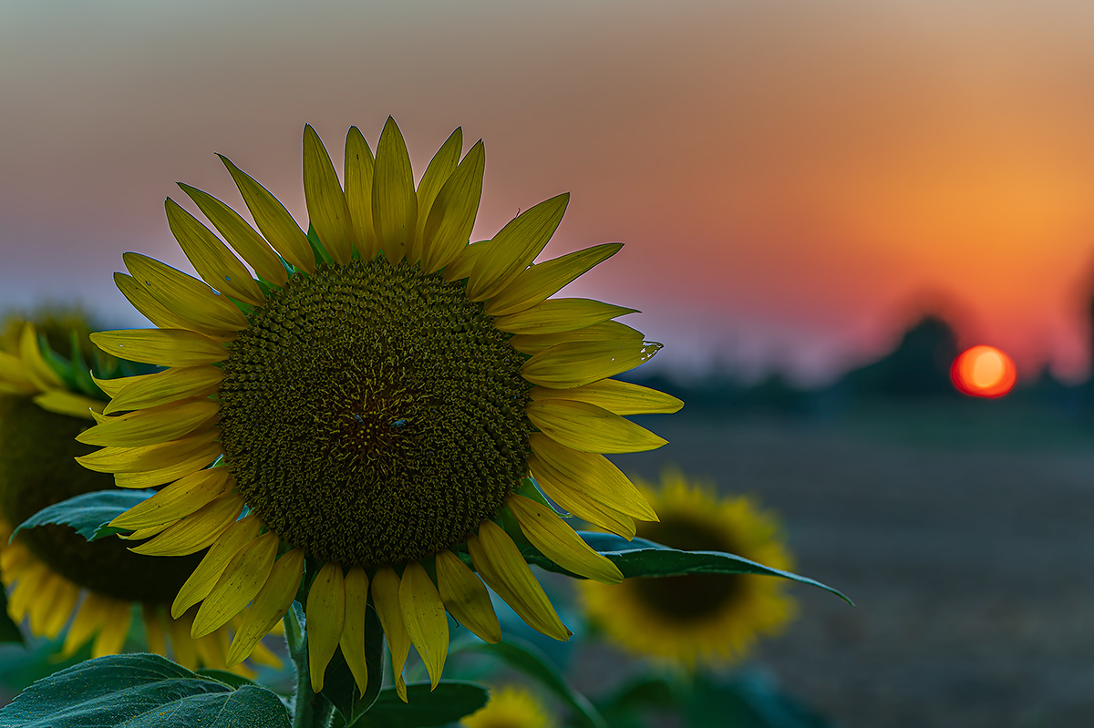 a greeting to the day he leaves