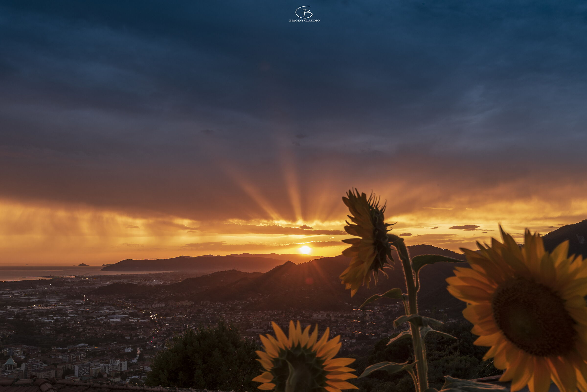 Sunset with sunflowers from San Carlo Terme