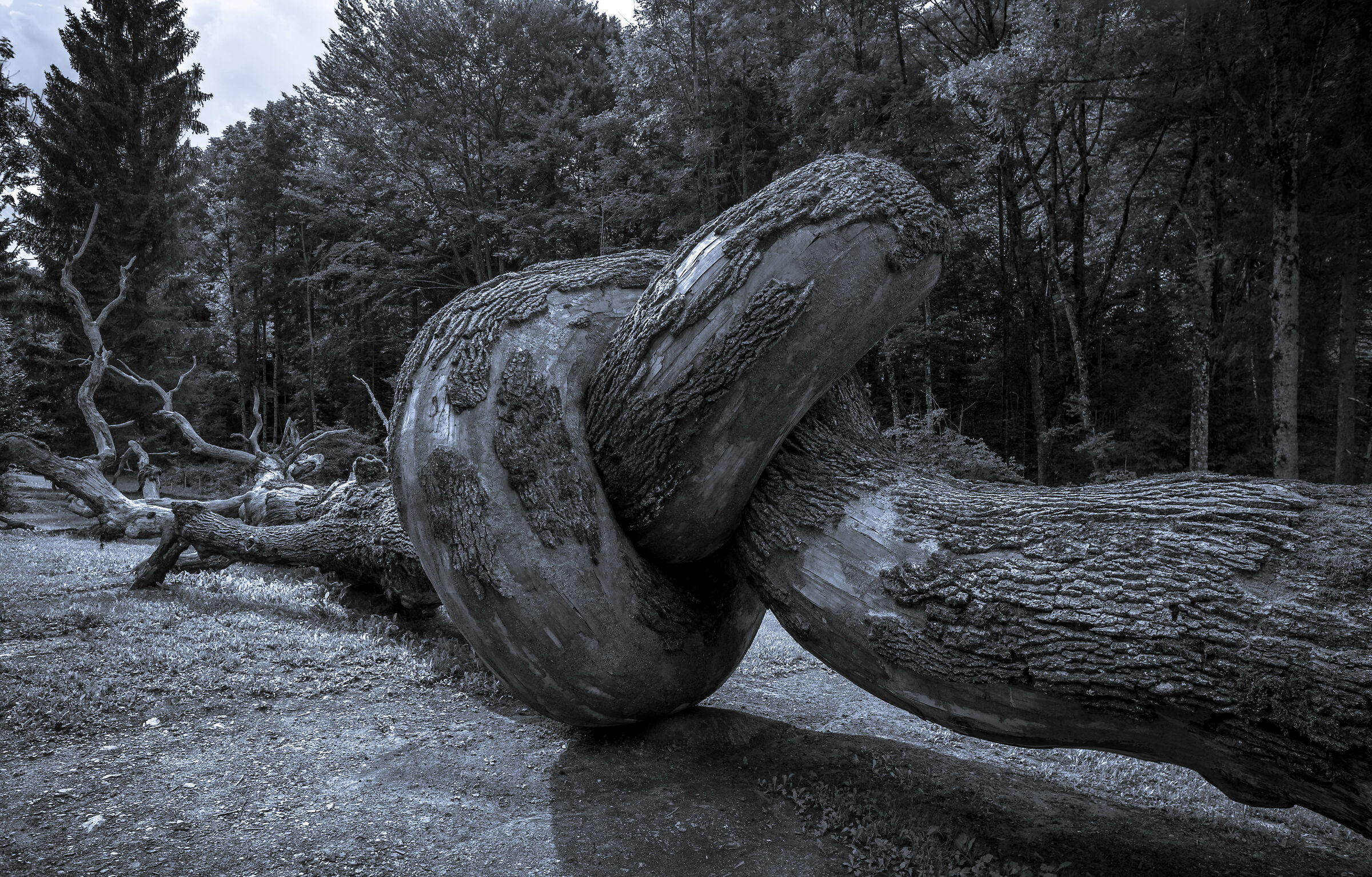 Radice Comune, Henrique Oliveira, Val di Sella