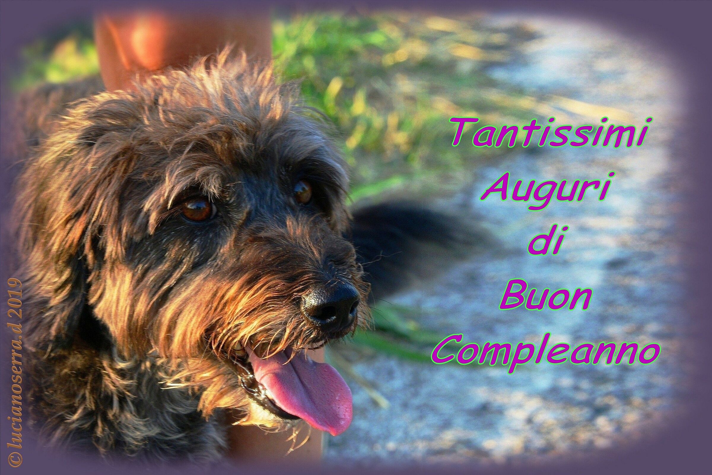 Buon Compleanno Giorgia...