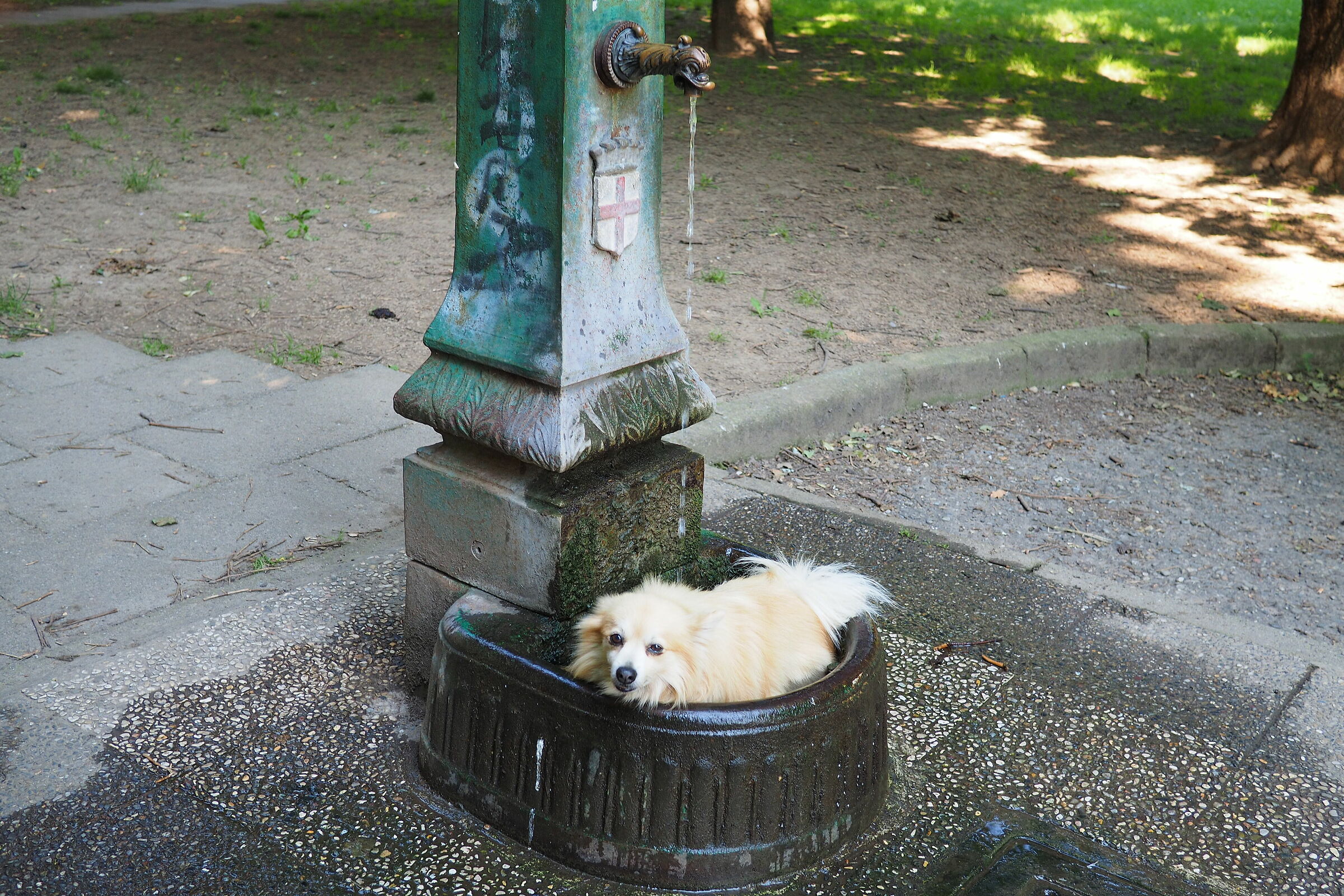 Why are you looking at me? ... makes a hot dog!