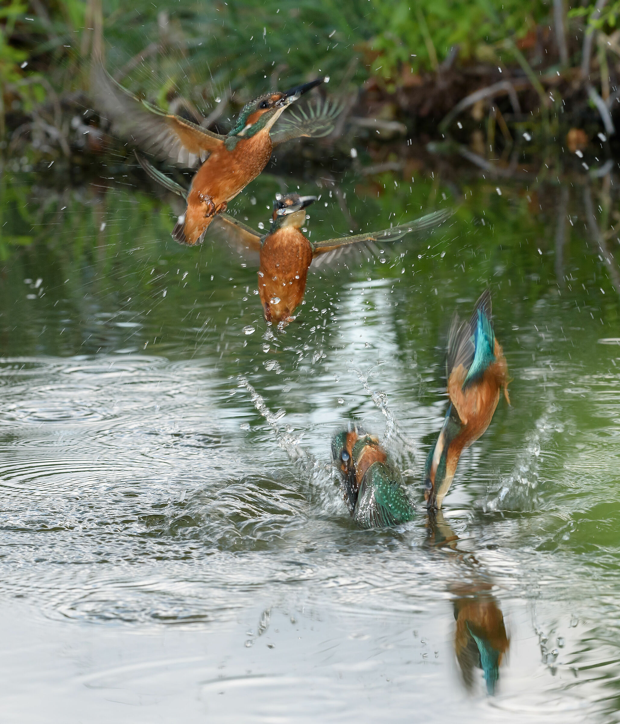 La pesca