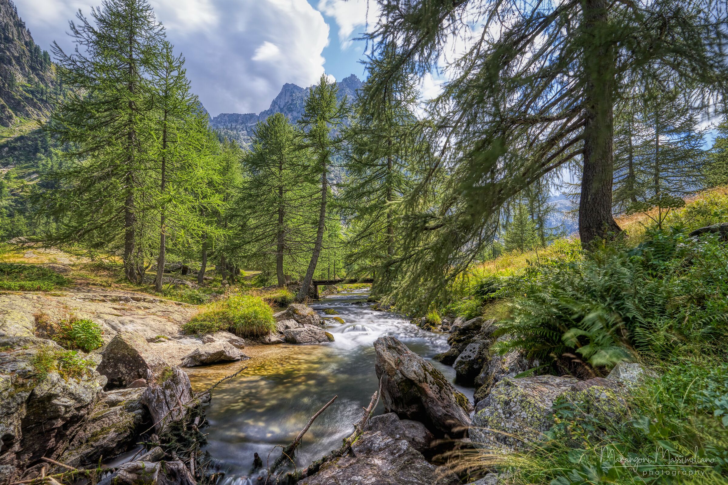 Pian del Valasco Rif. Caccia Reale Piemonte
