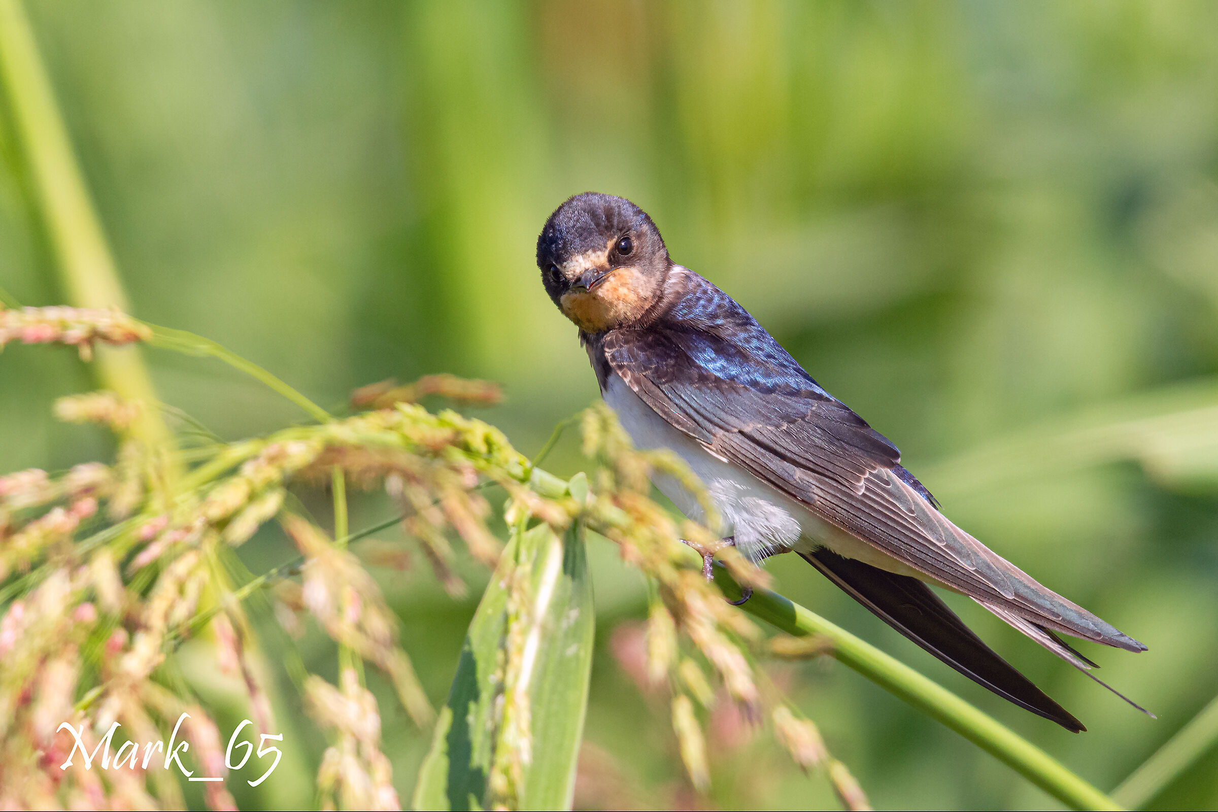 Always breaking... True?