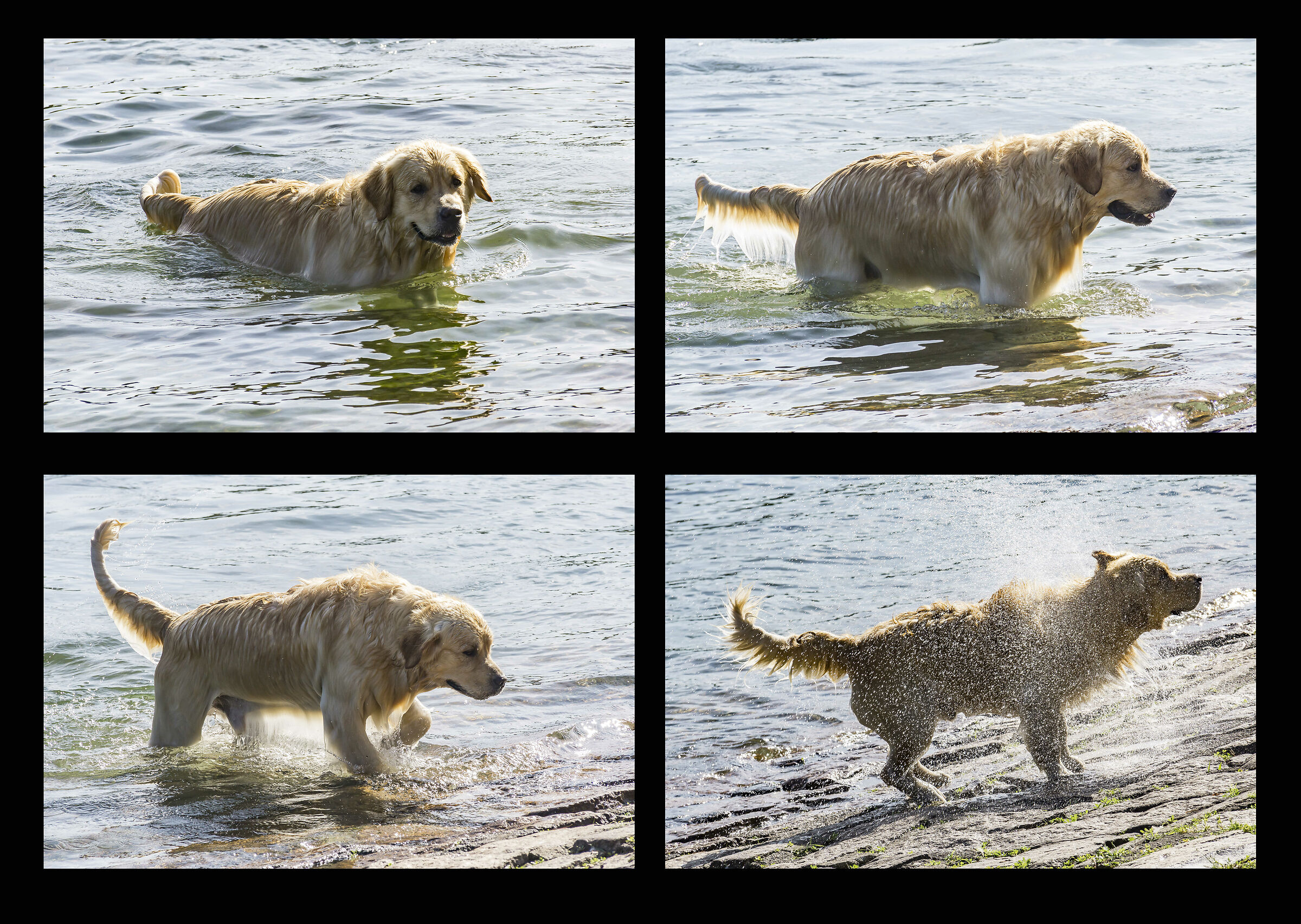 Mercoledì 14 agosto 2019, 17:19