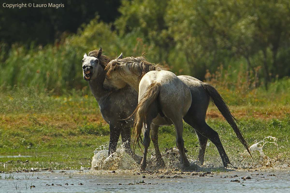 You're hurting me ... not be fiery!