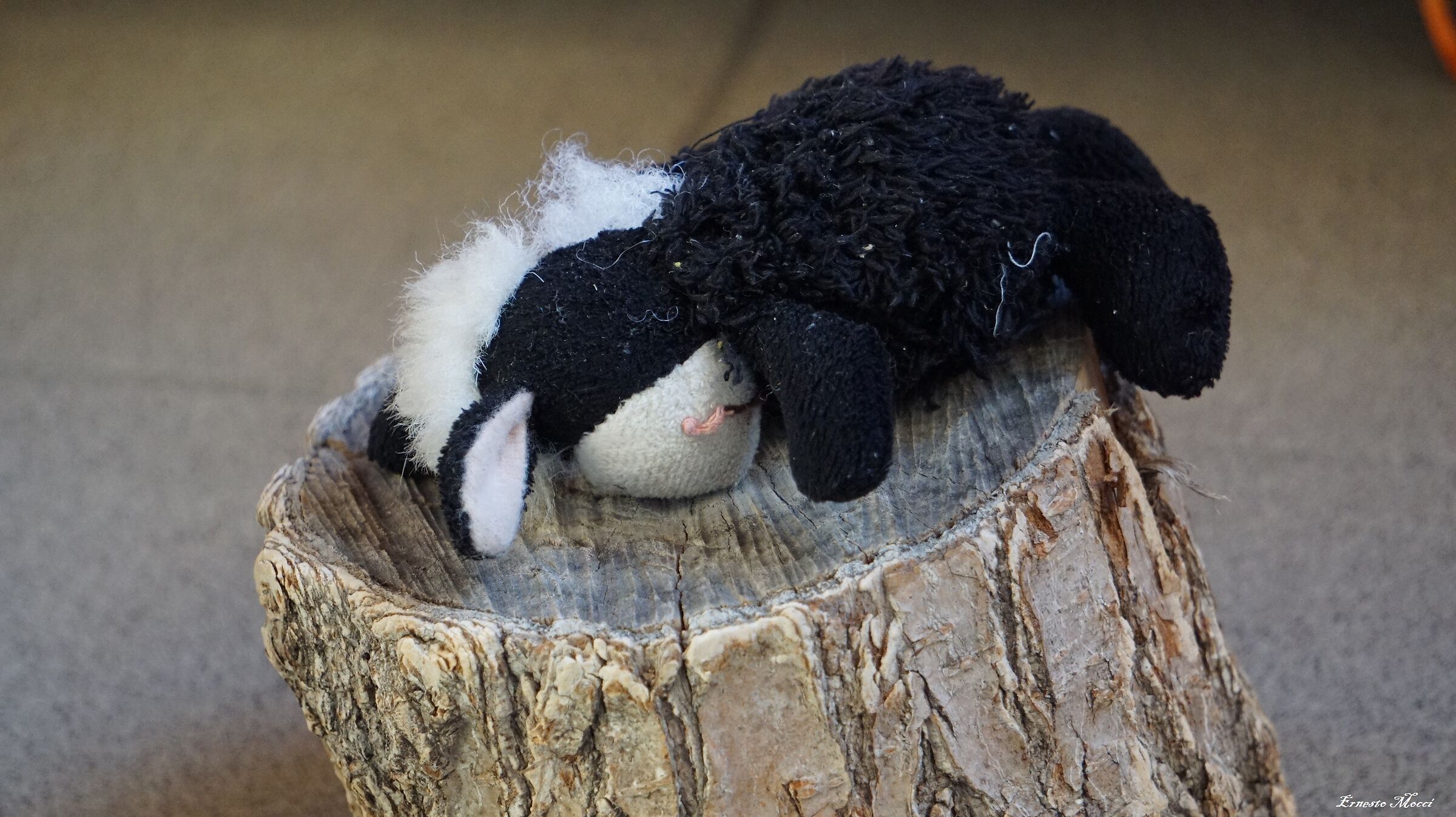 Pinchi at The End of Every Day