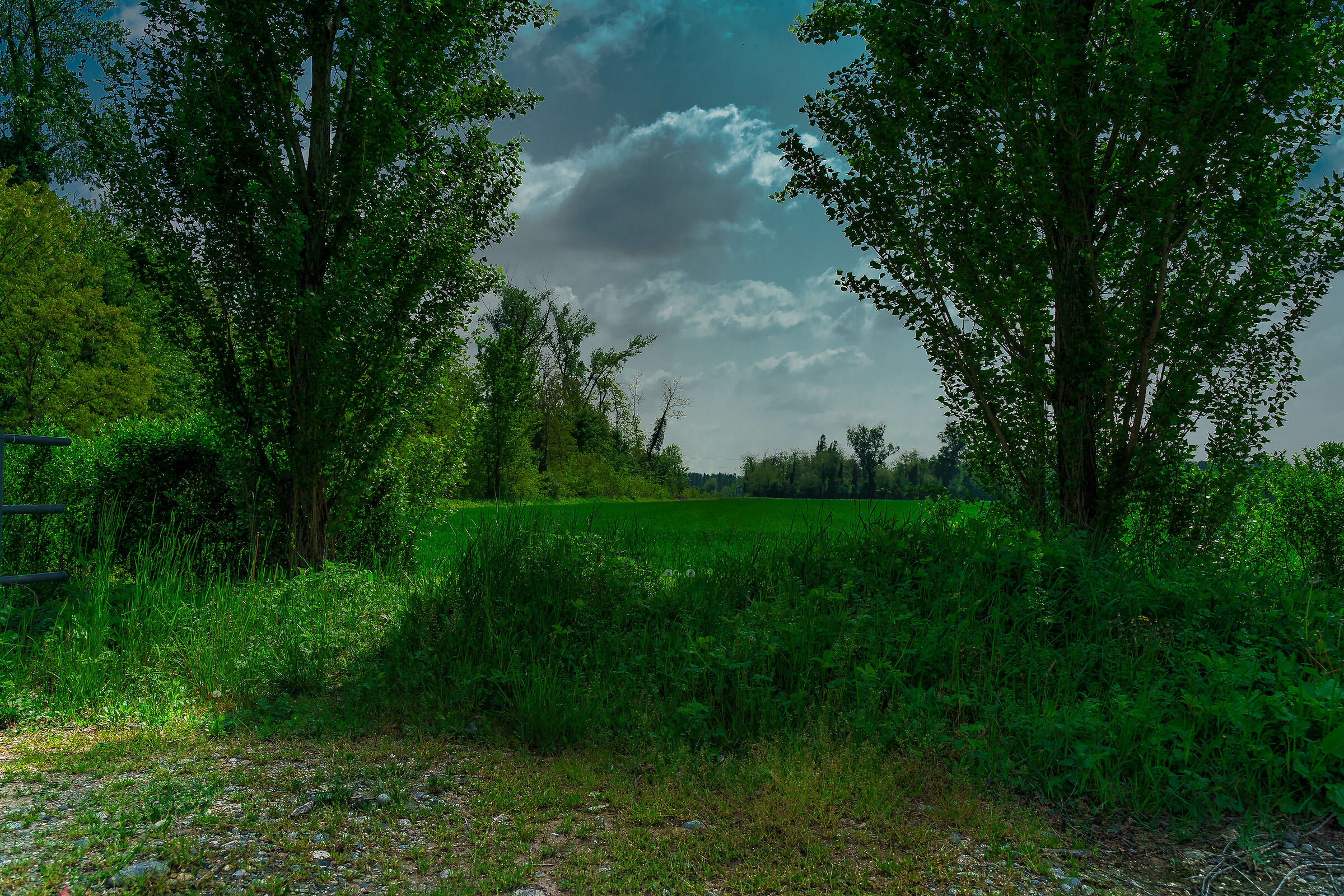 Punto d'osservazione