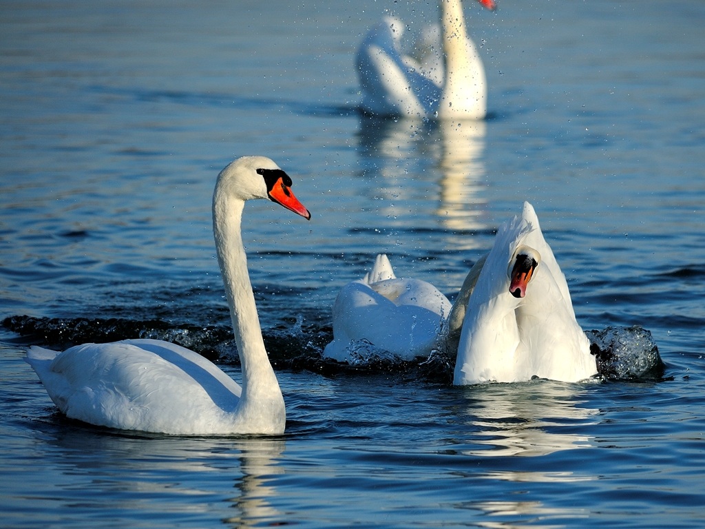 Maybe I did something wrong