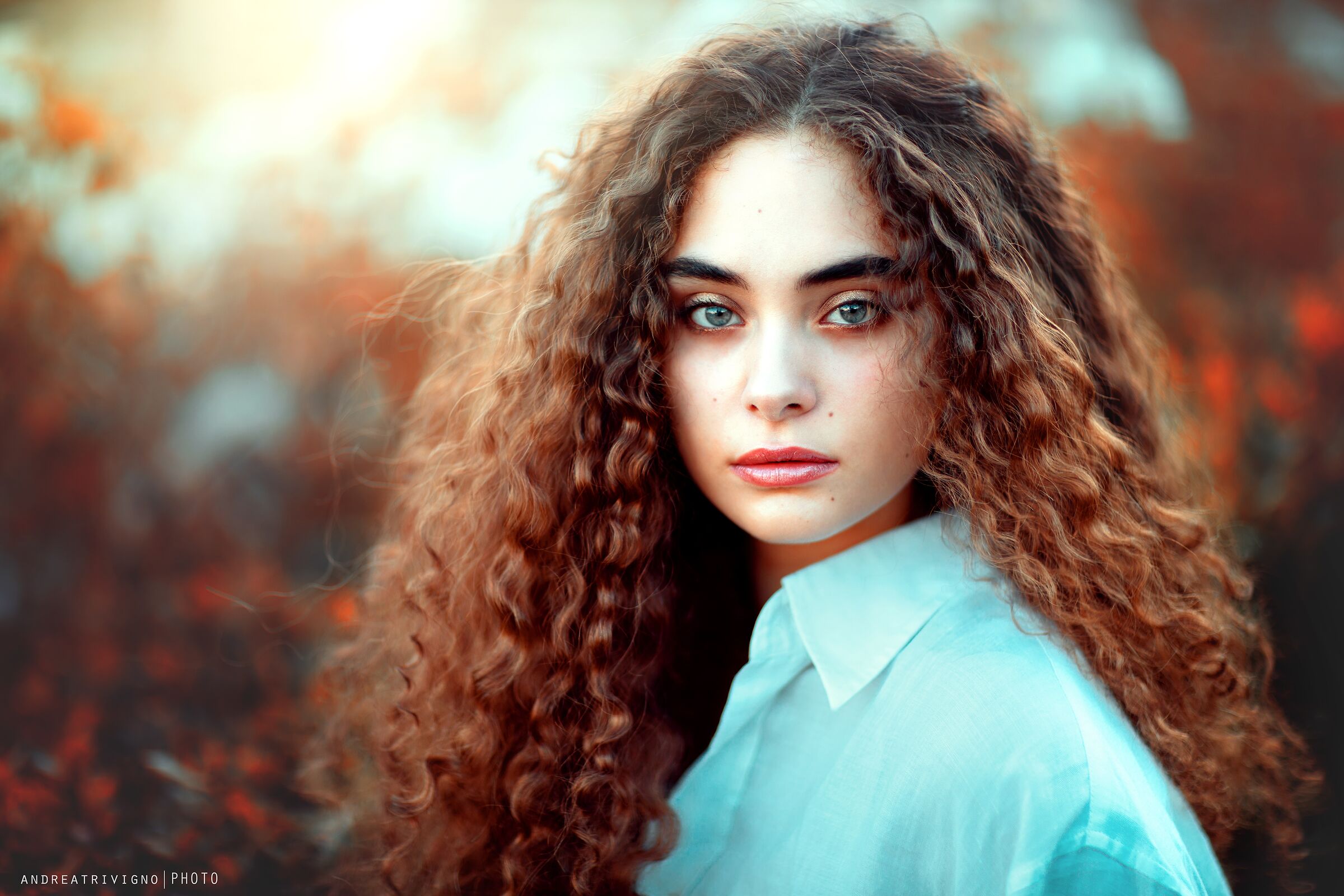 Gabriella - White Rabbit 8