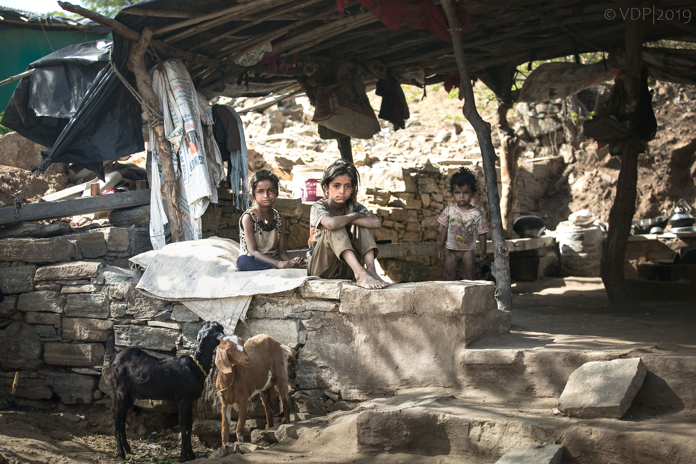 Sulle strade del Rajasthan