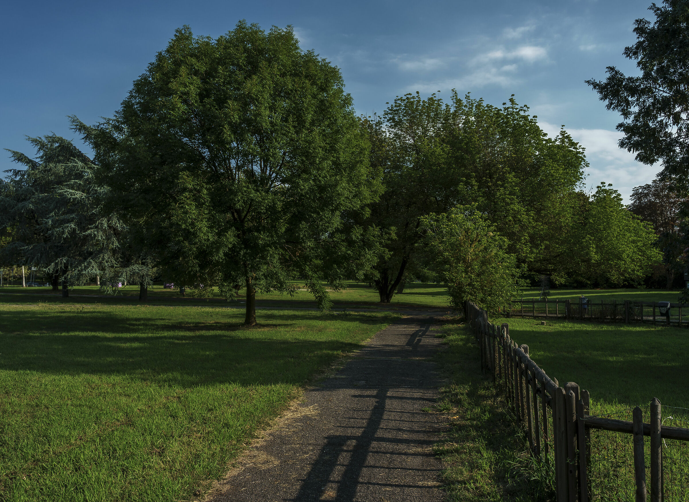 Contrasti di luce mattiniero