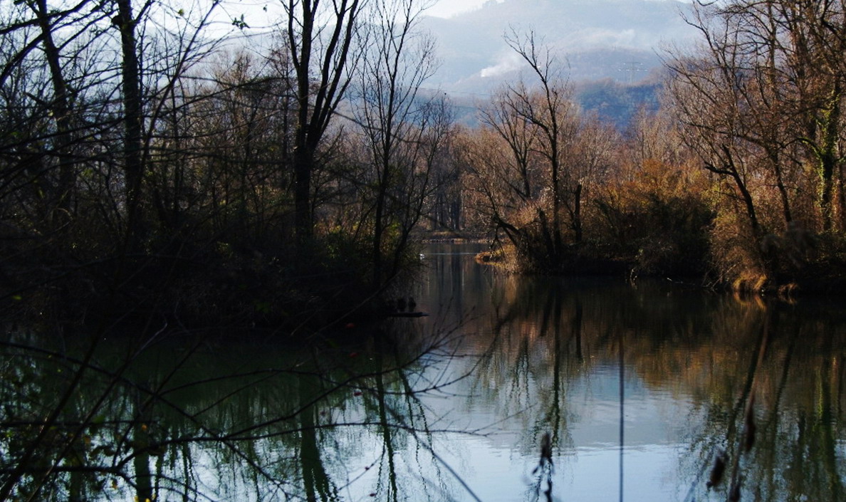 Lungo la Palude di Brivio(LC bis