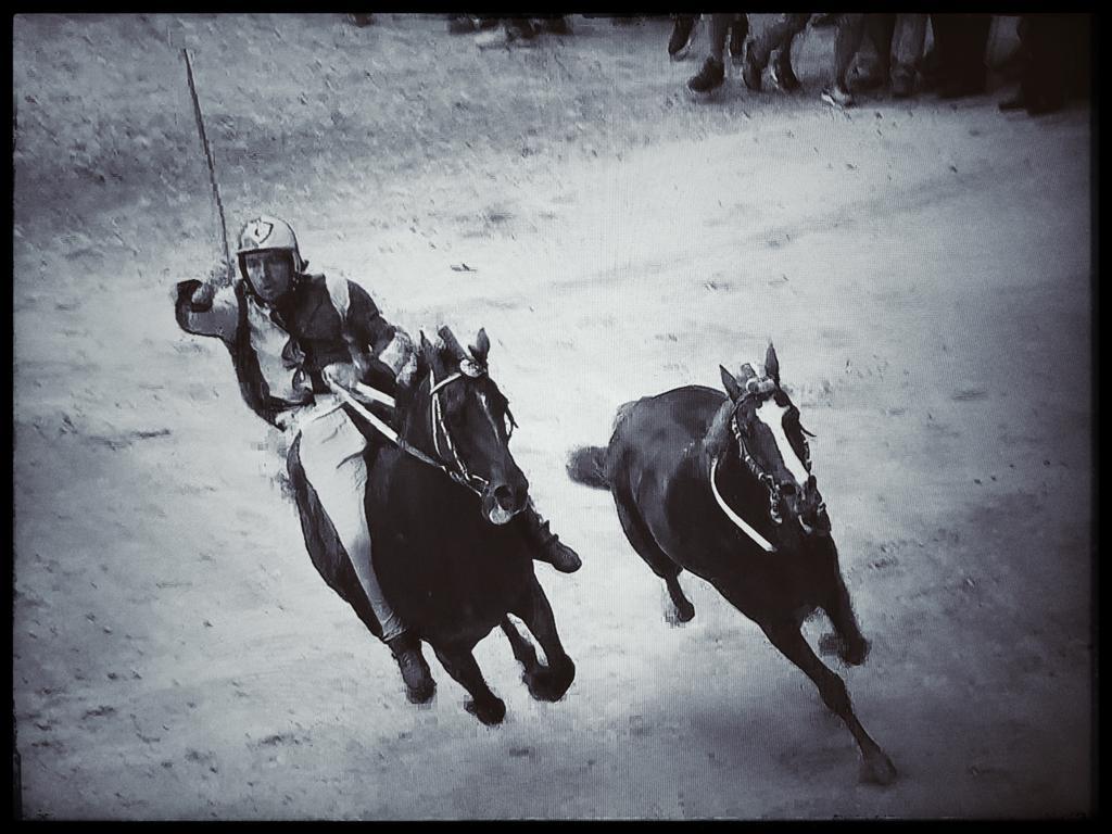 Palio di Siena - Elaborazione da televisore