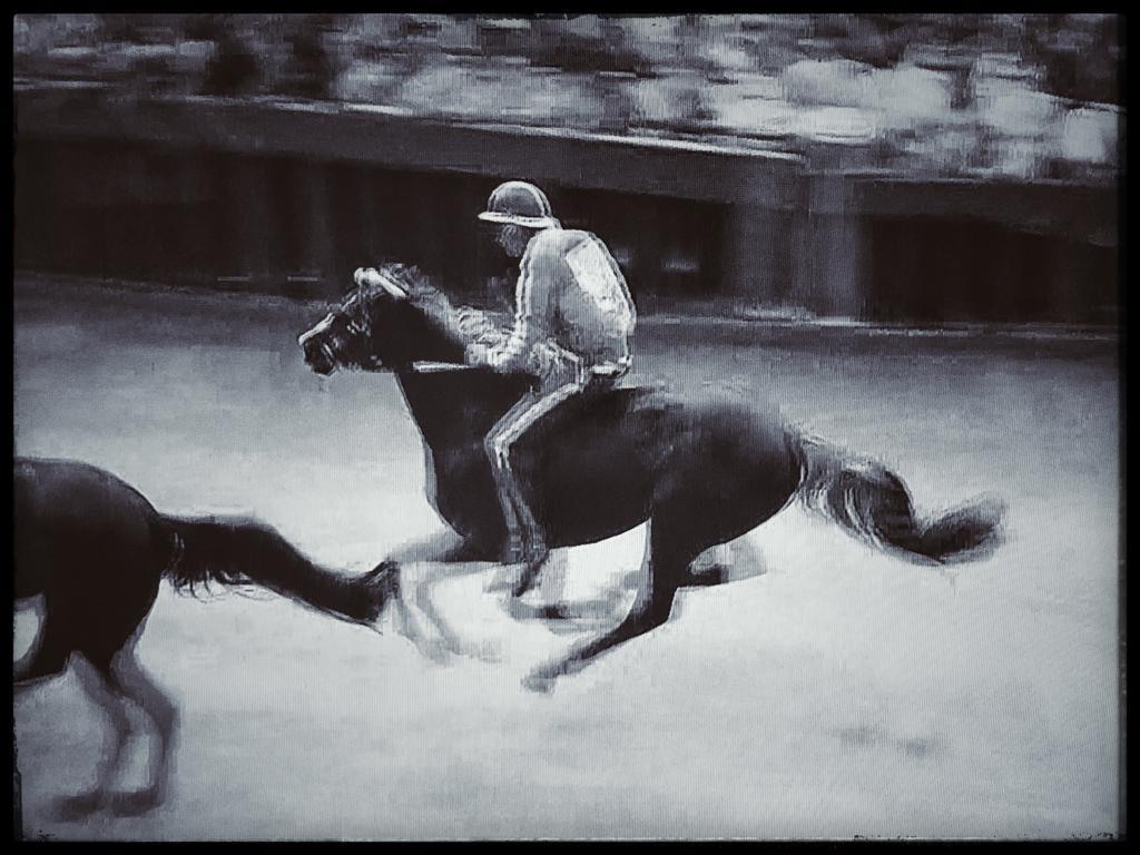 Palio di Siena - Elaborazione da televisore