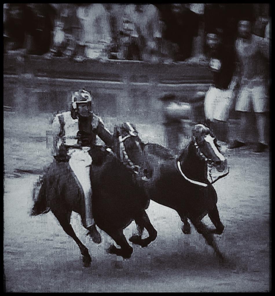 Palio di Siena - Elaborazione da televisore