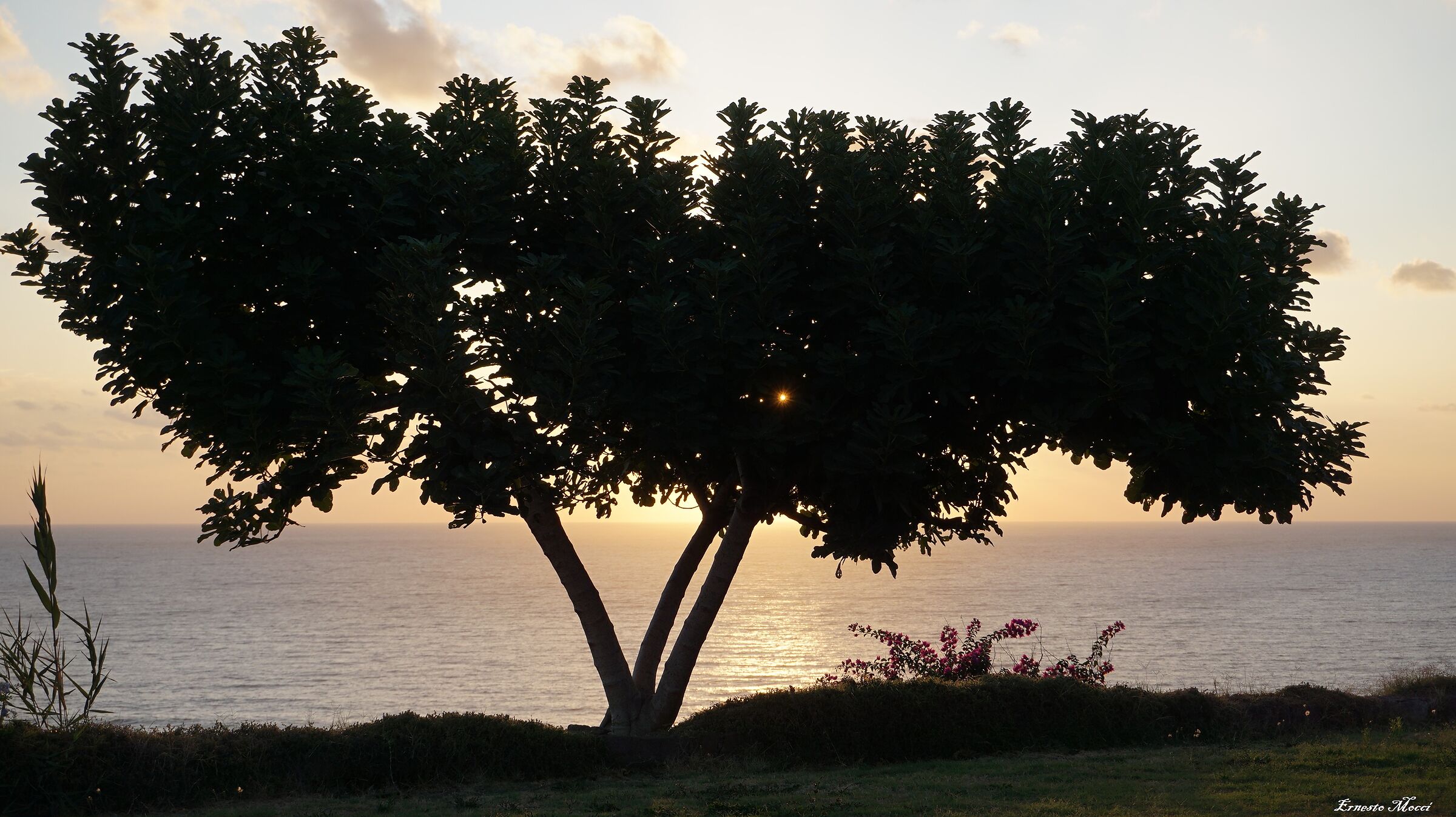 Don't Stop Believing in Yourself