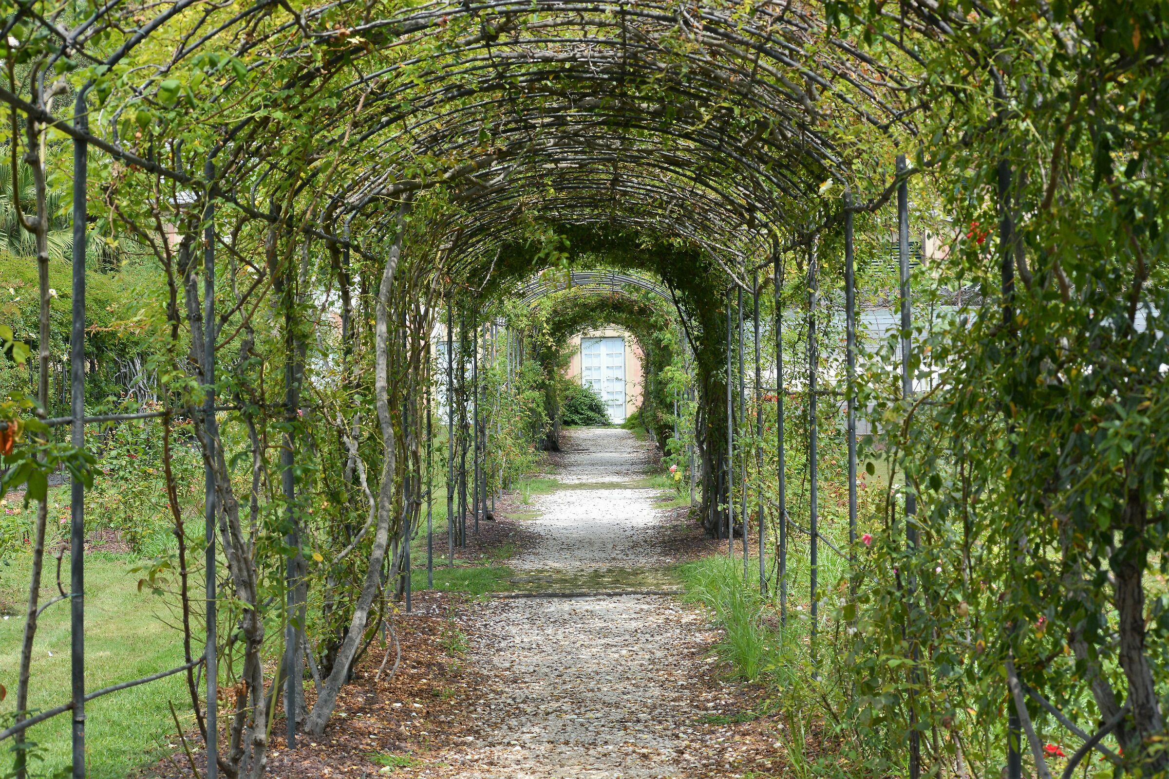 Parchi di Nervi,Genova
