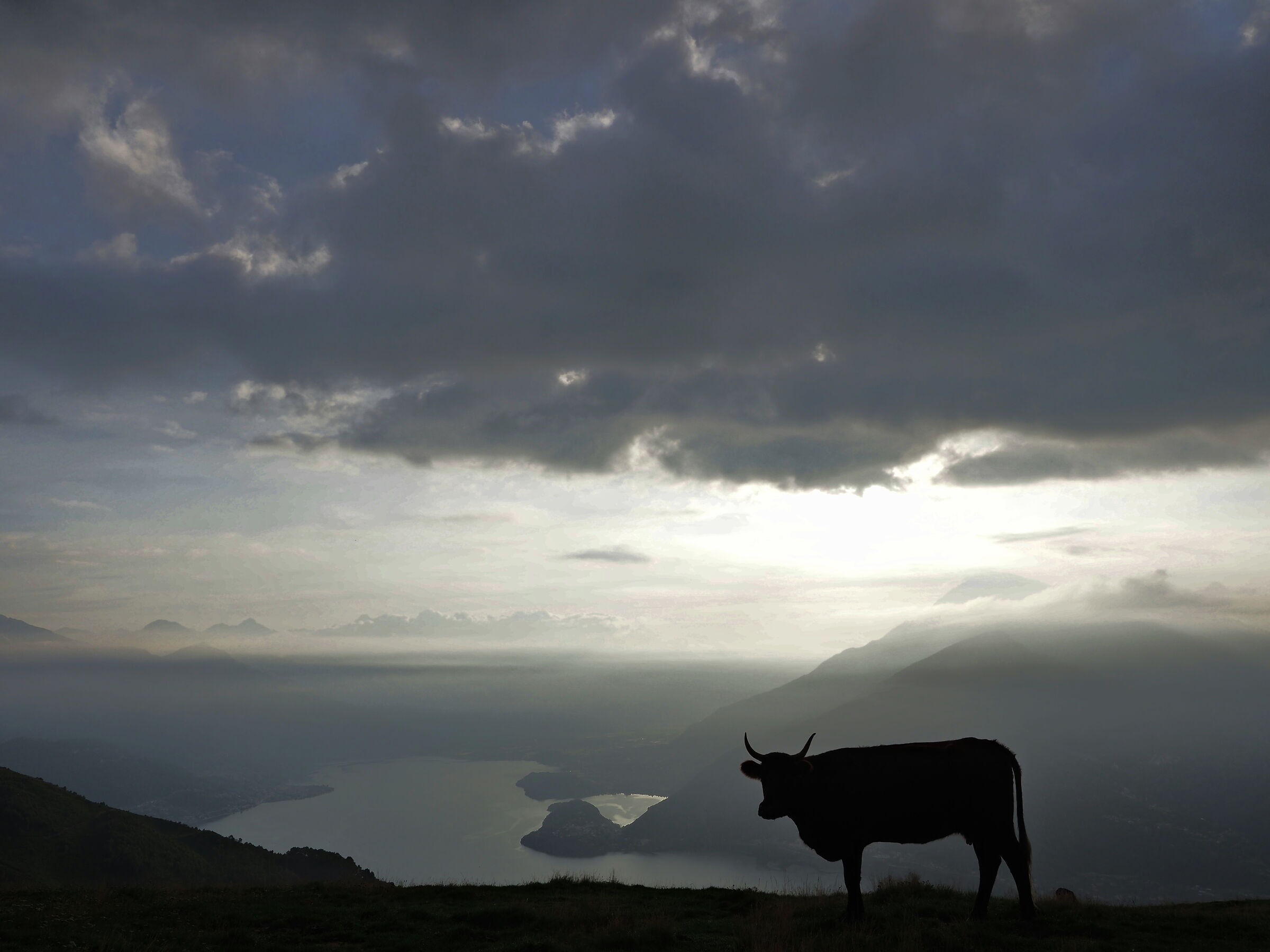 early morning in the high lake (of Como)