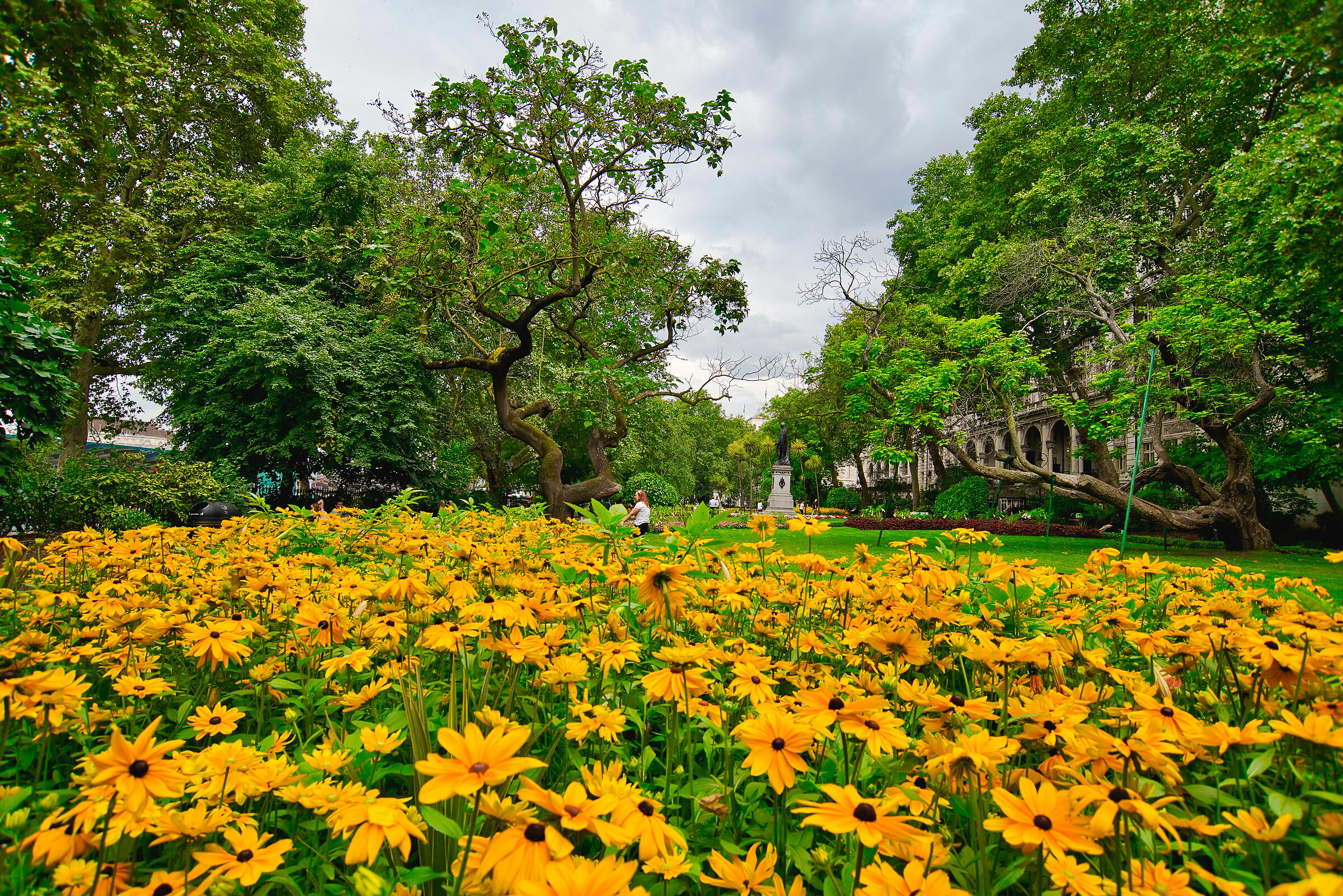 Bloom Yourself inside out