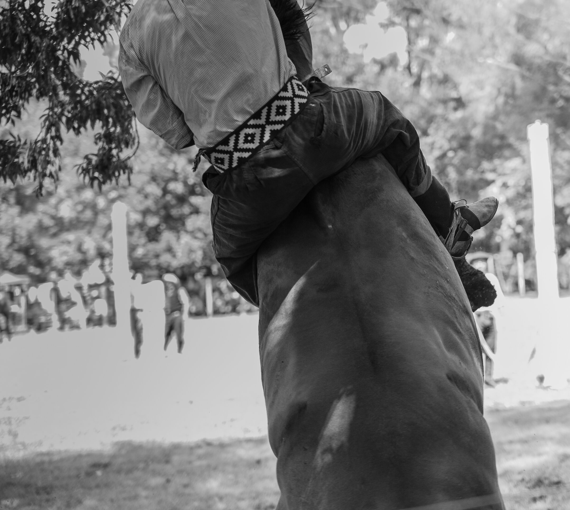 Rodeo in Provincia di BsAs