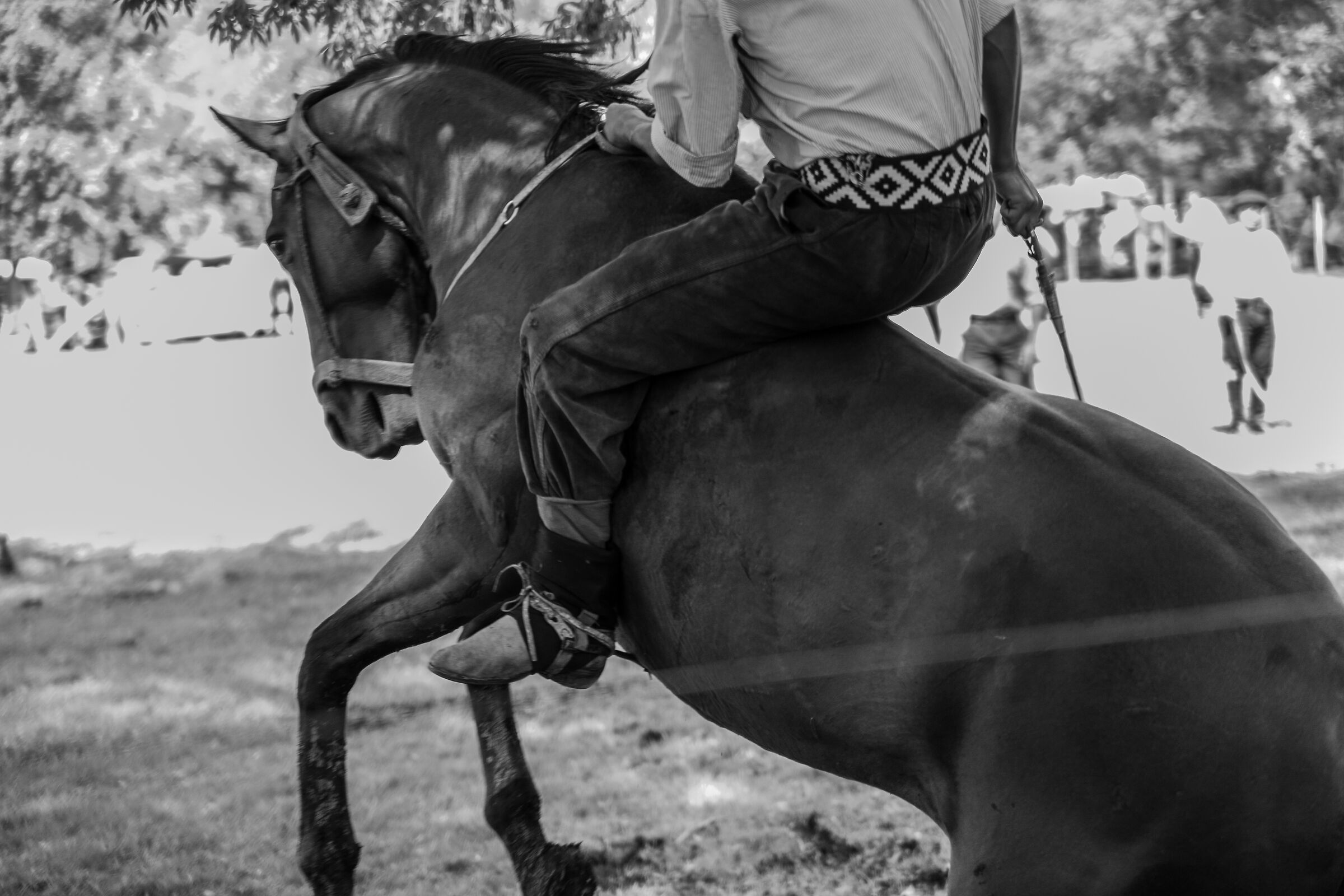 Rodeo in Provincia di BsAs
