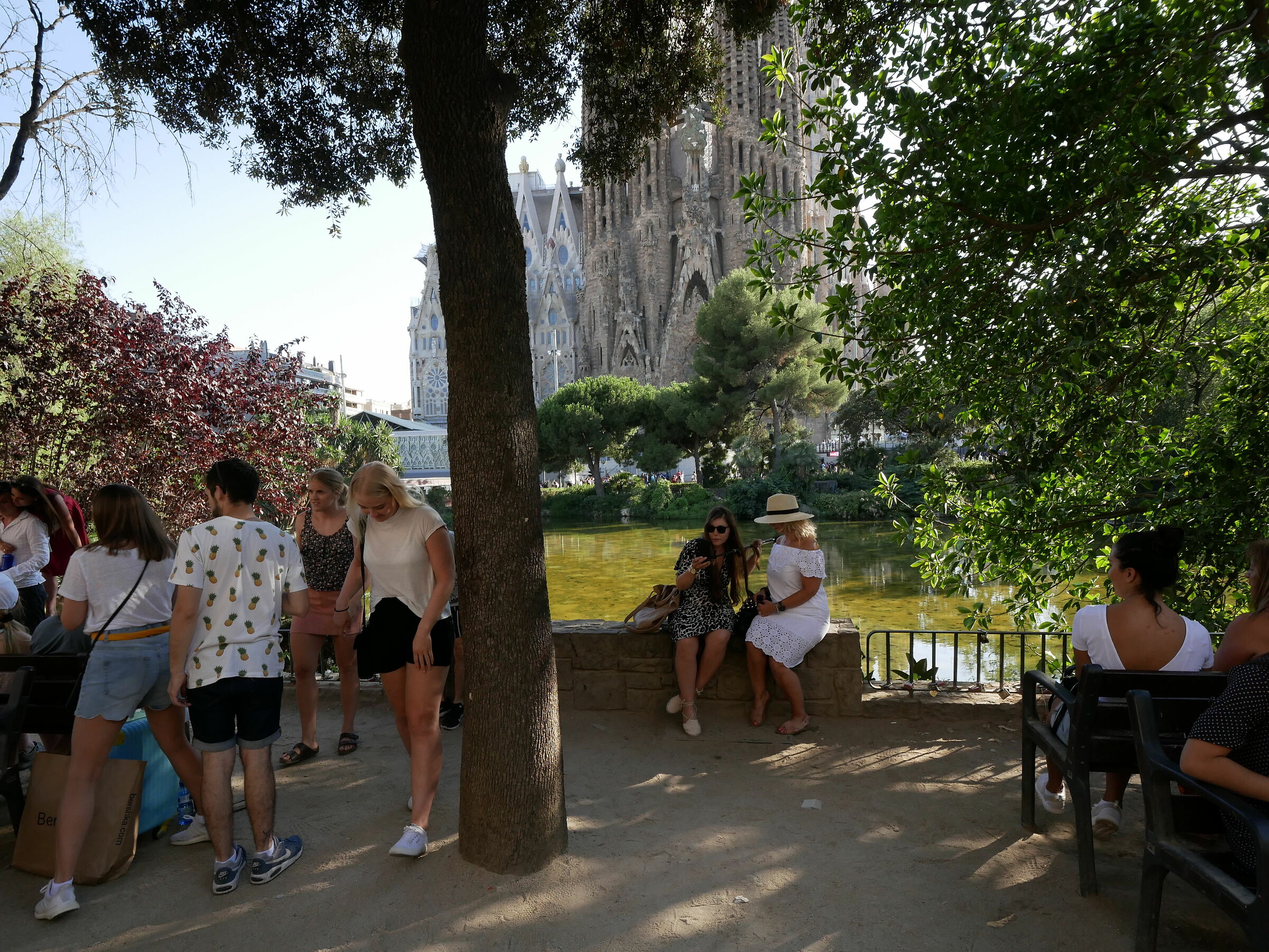 test - panaleic 8-18 f2.8-4