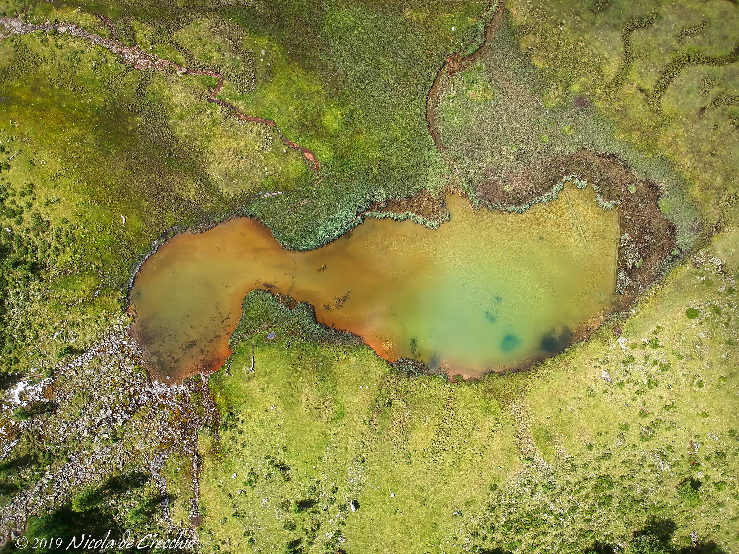 Lago dei Pini (Fiechtsee)
