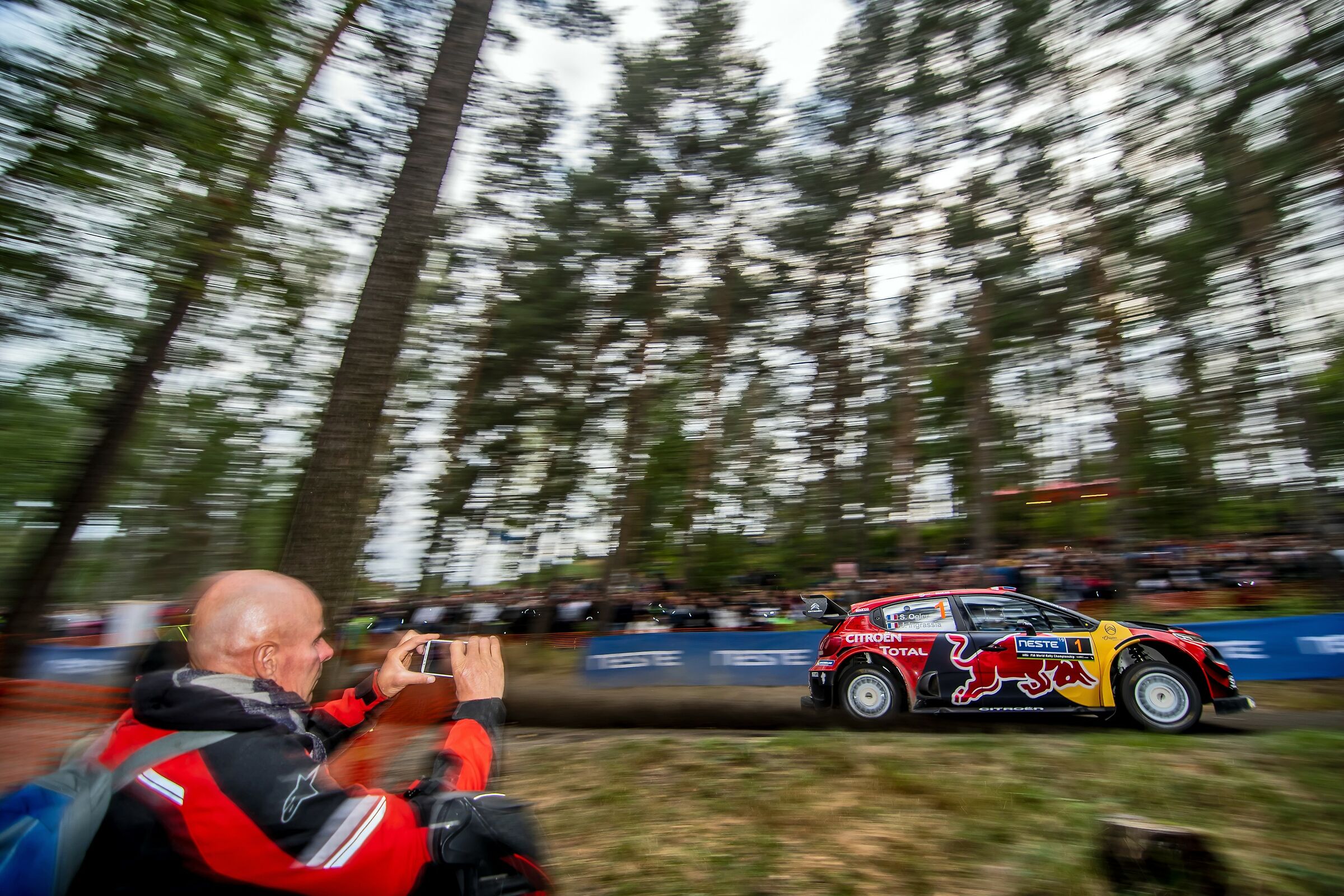 Una foto al campione