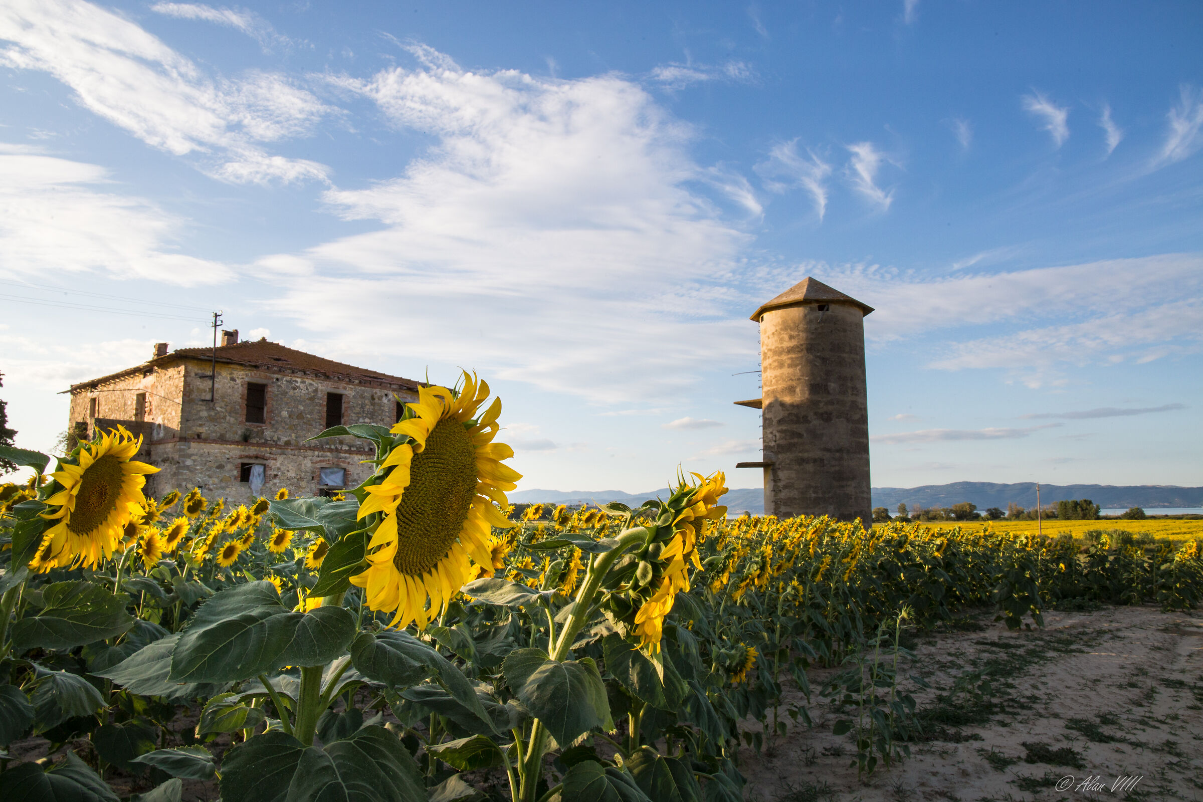 L'estate del Lago Trasimeno