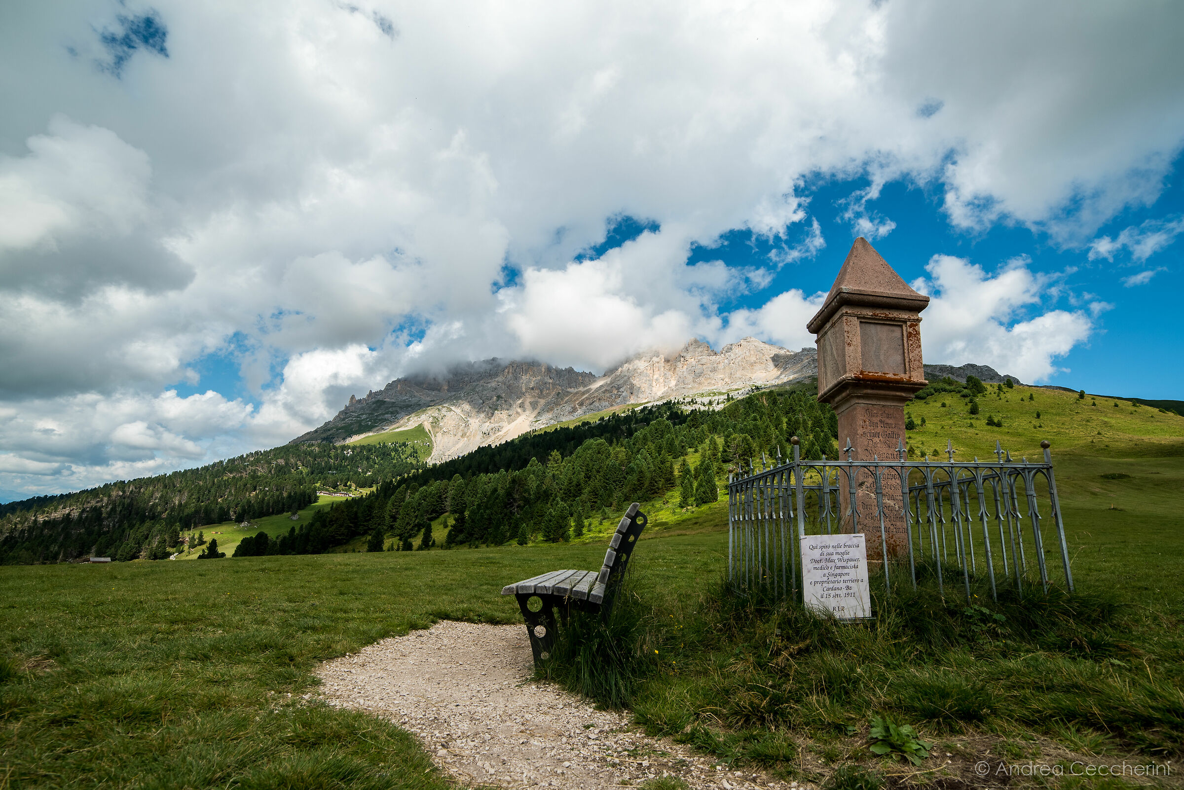 A bench on the world