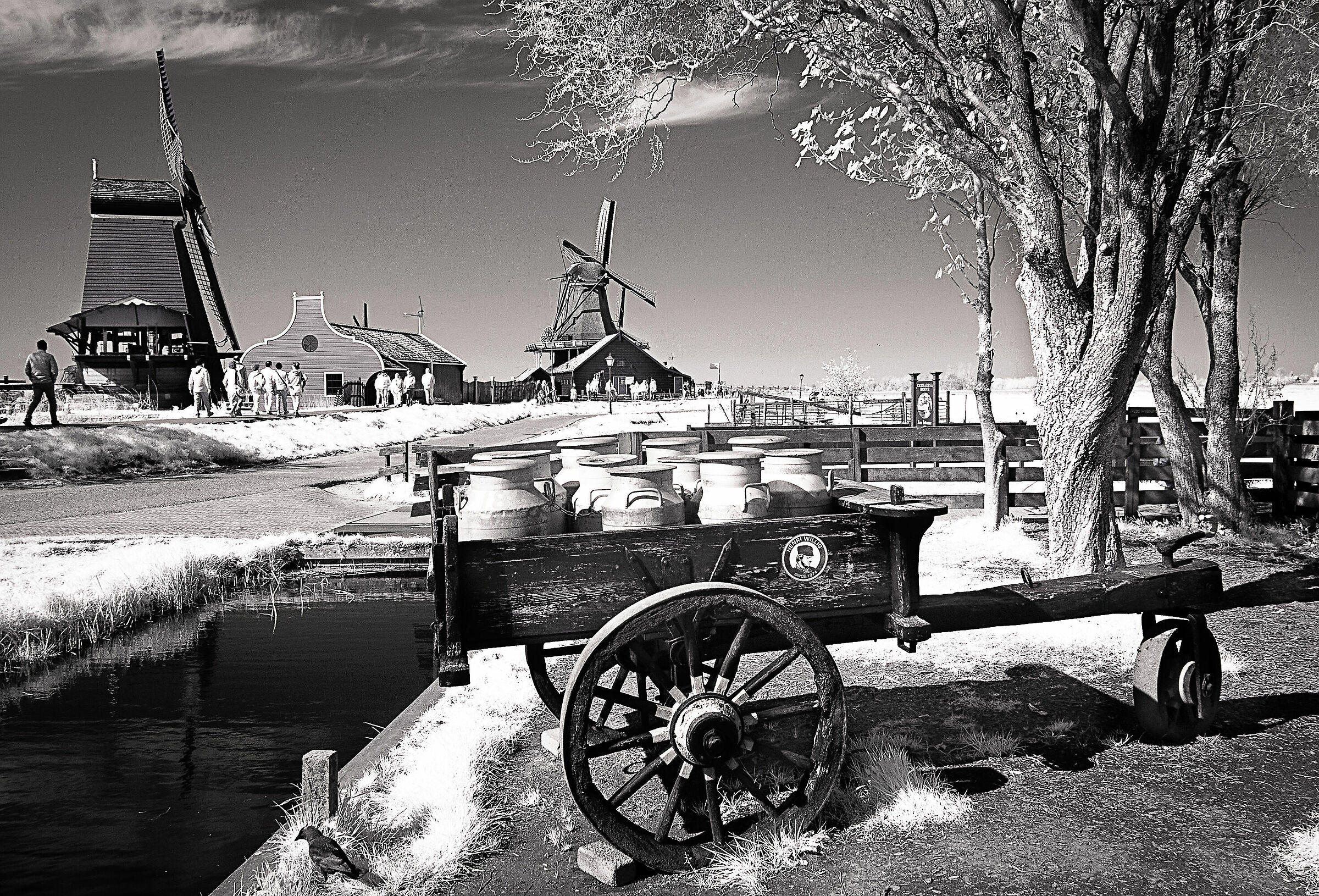 Latte e mulini a vento