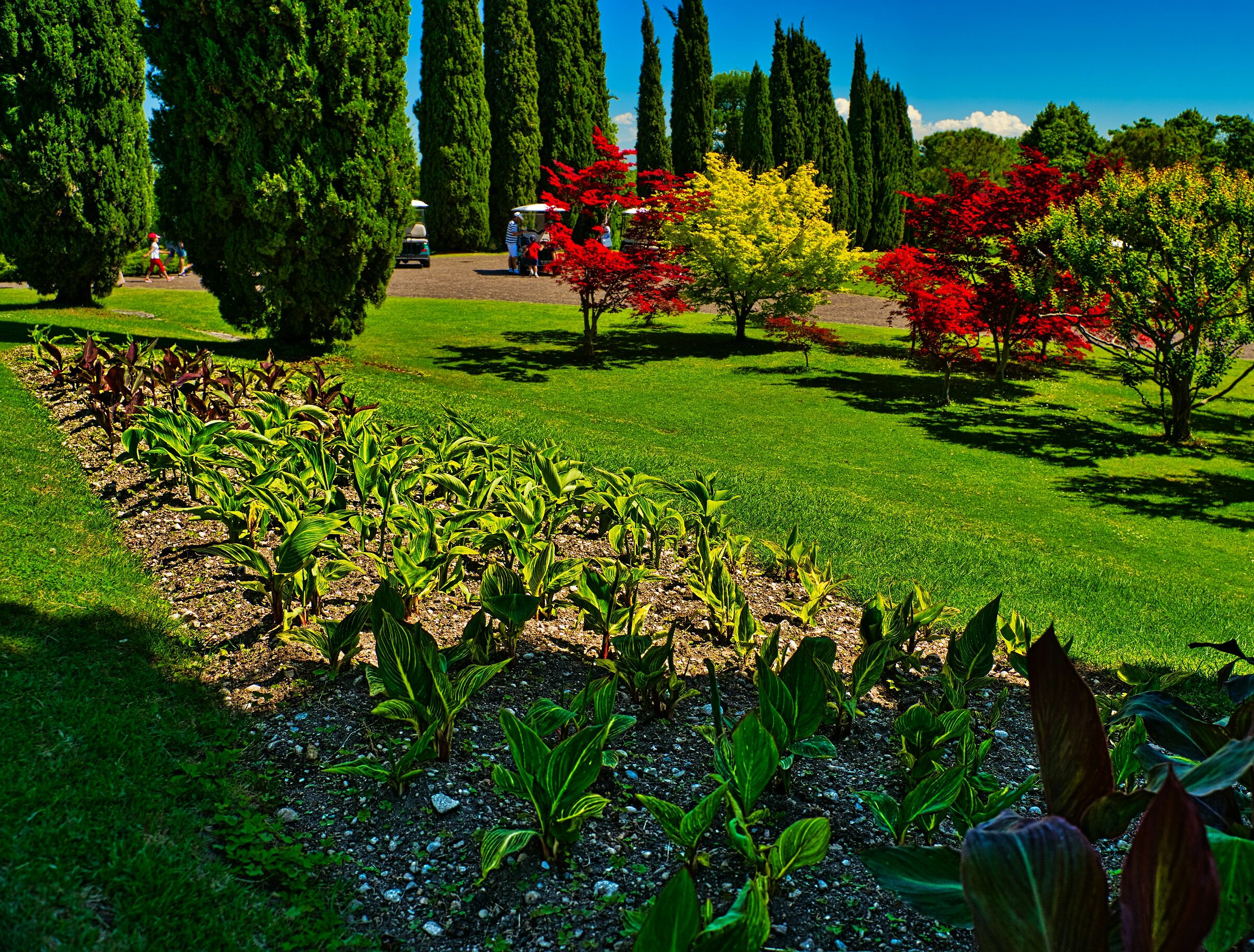 Composizione semplice